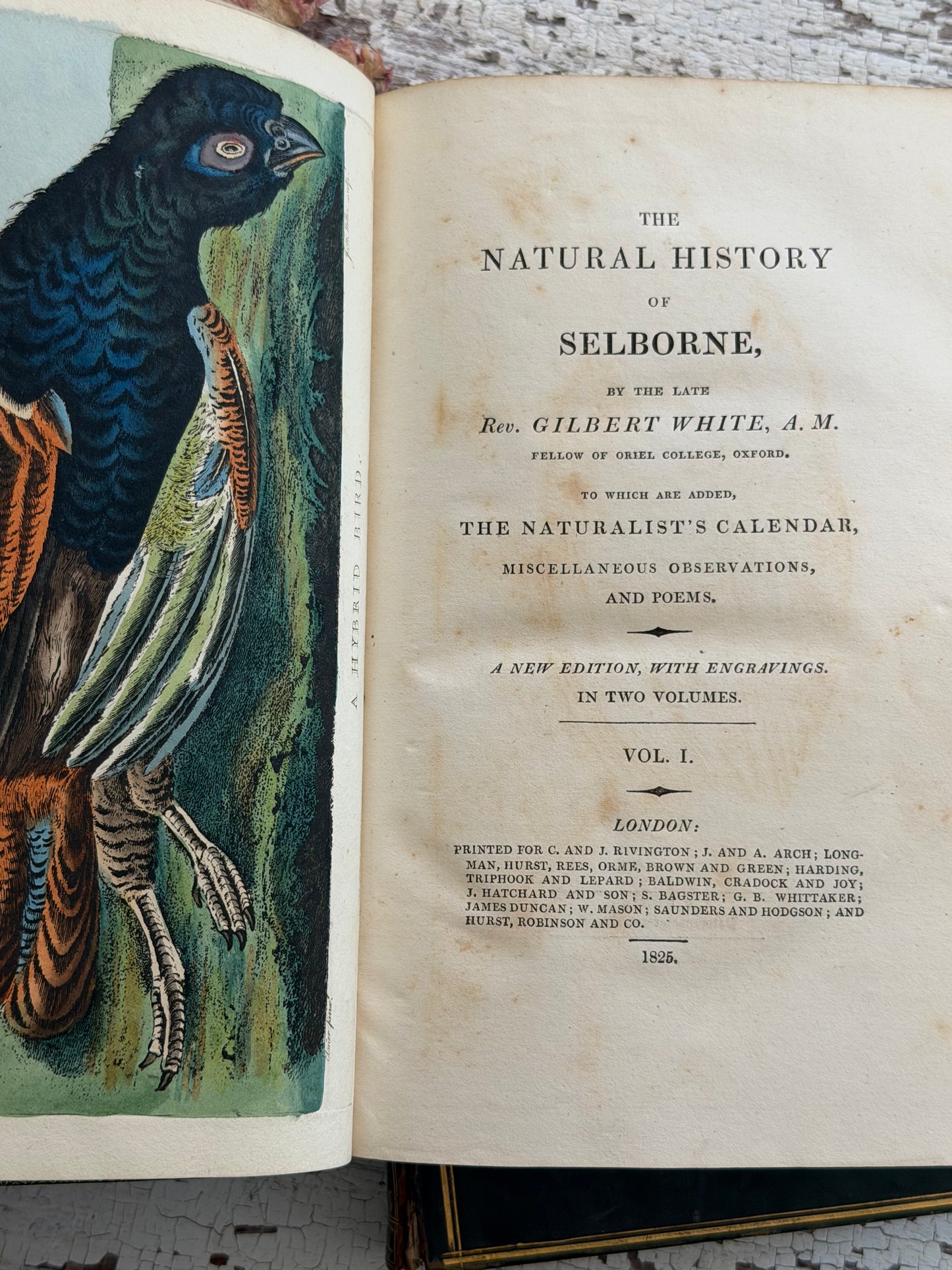 1825 The Natural History of Selborne By Rev. Gilbert White