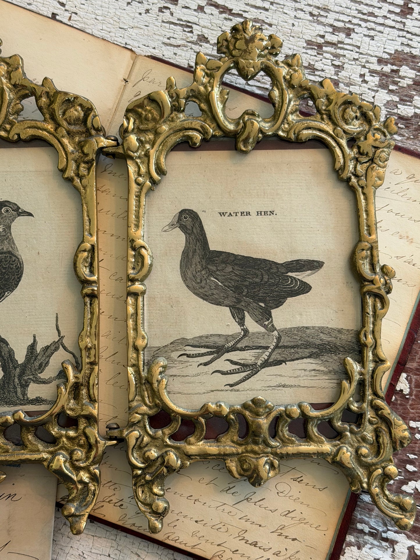 Double Brass Frame with Antique Bird Engravings