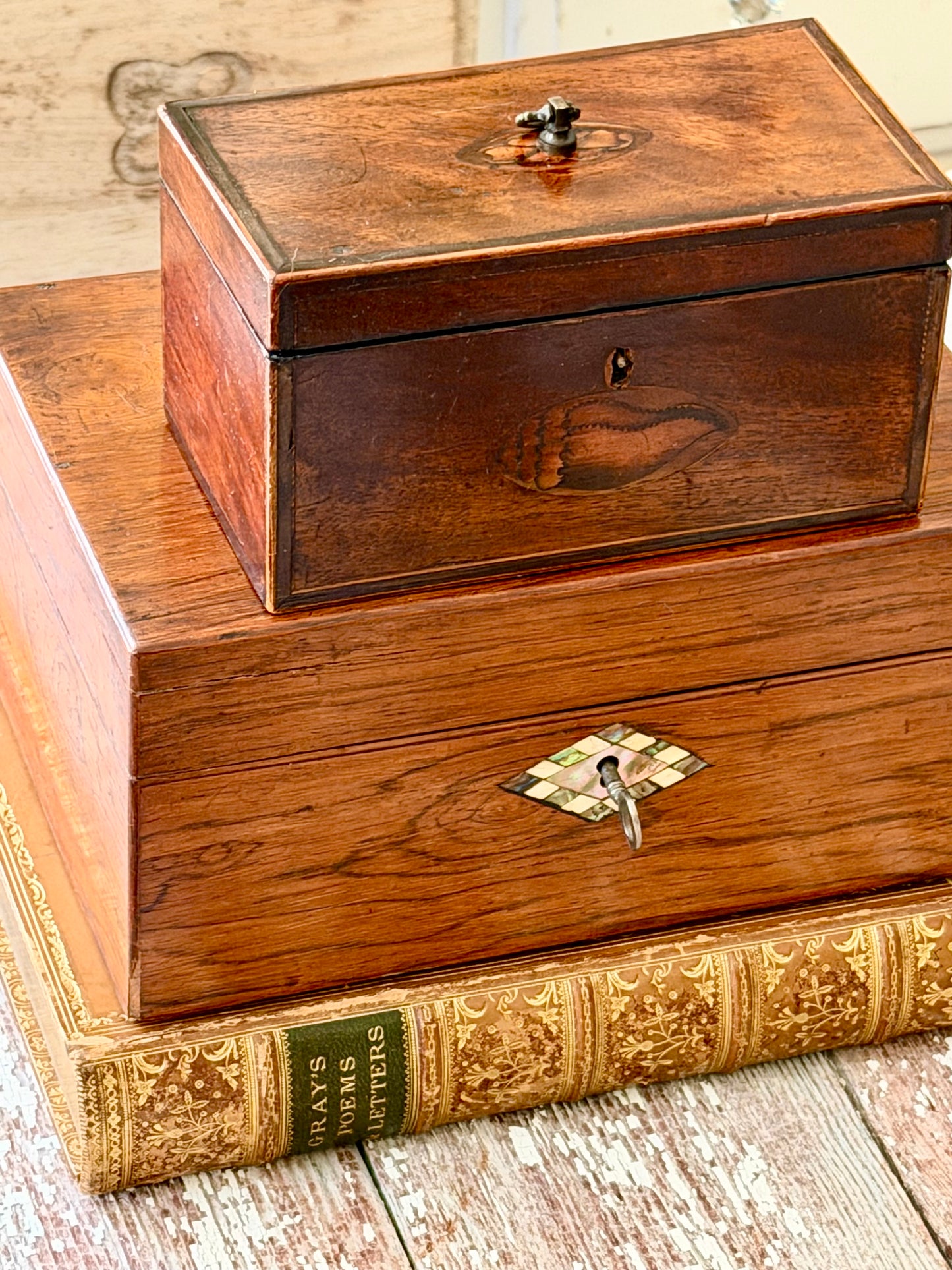 Antique English Mahogany Wood Box with Conch Shell Inlay