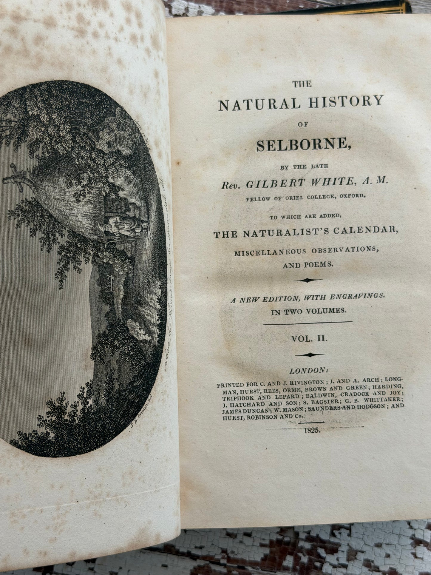 1825 The Natural History of Selborne By Rev. Gilbert White