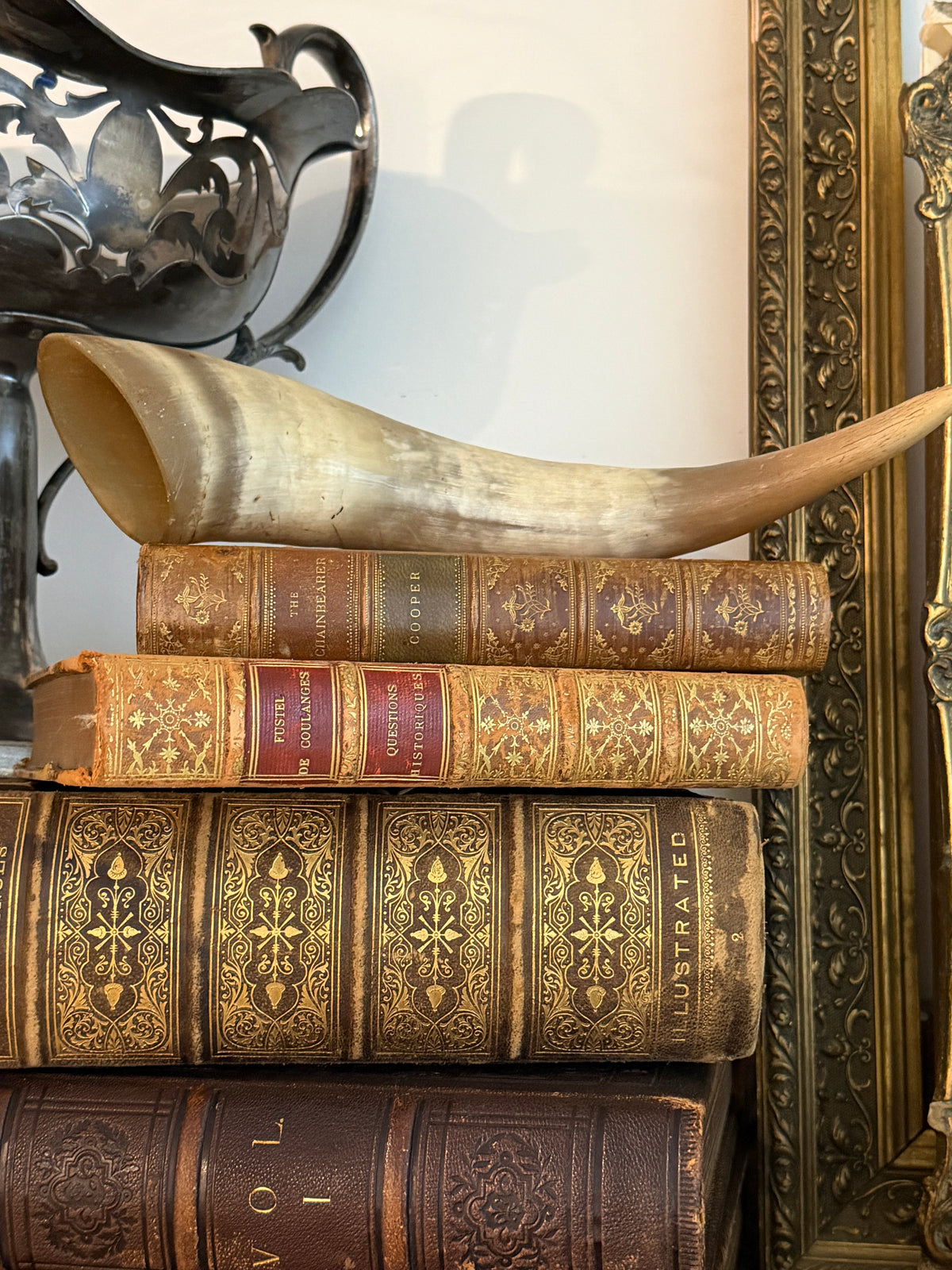 Real Ox Horn