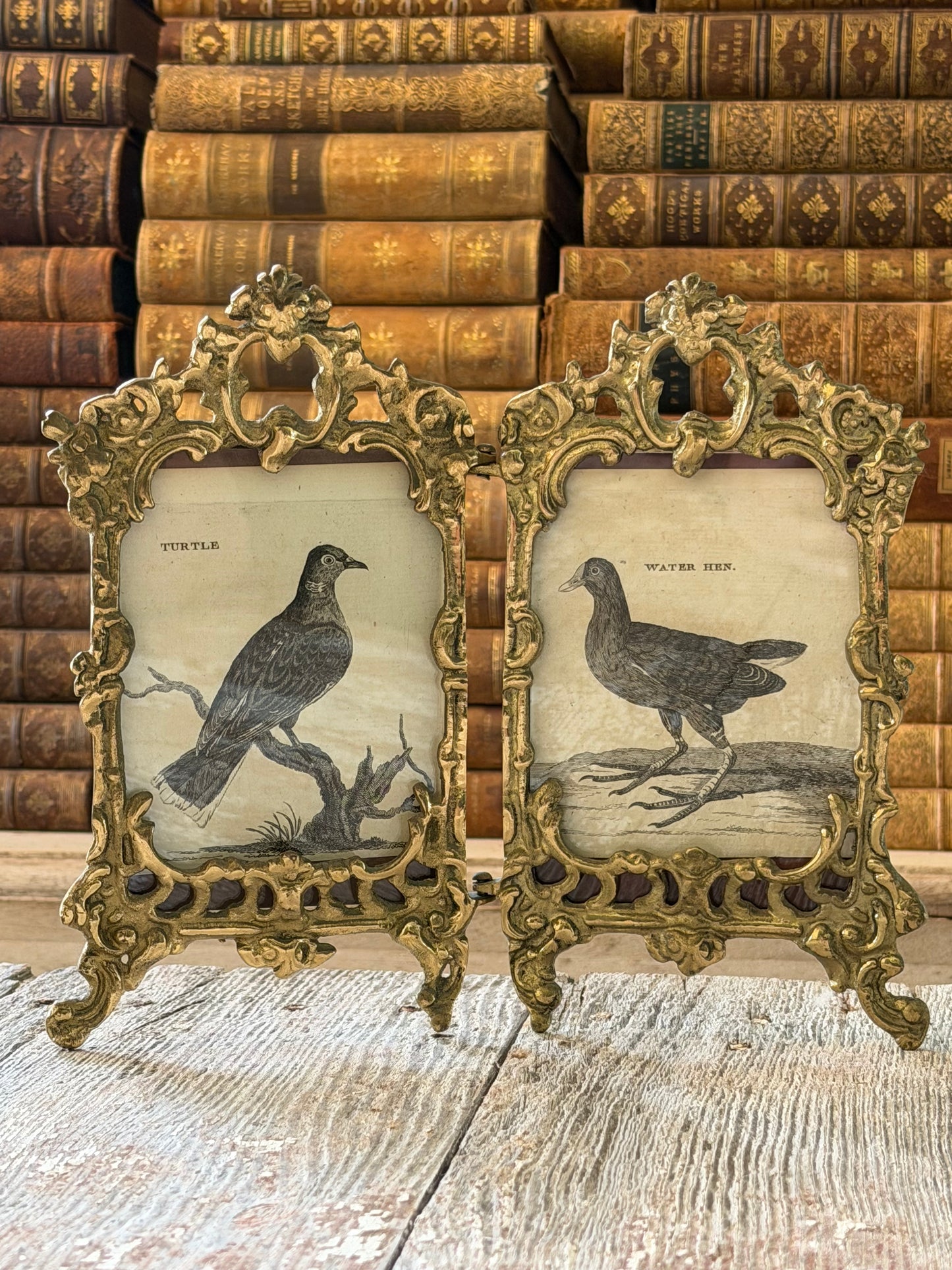 Double Brass Frame with Antique Bird Engravings