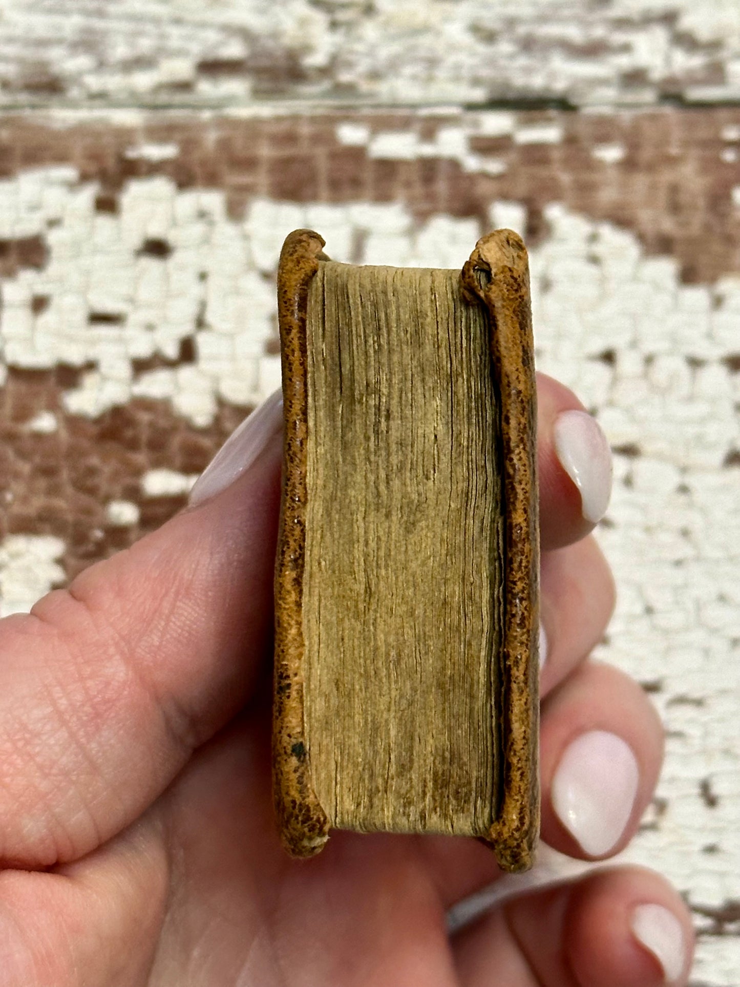 Rare- 1819 Micro History of the Bible Book