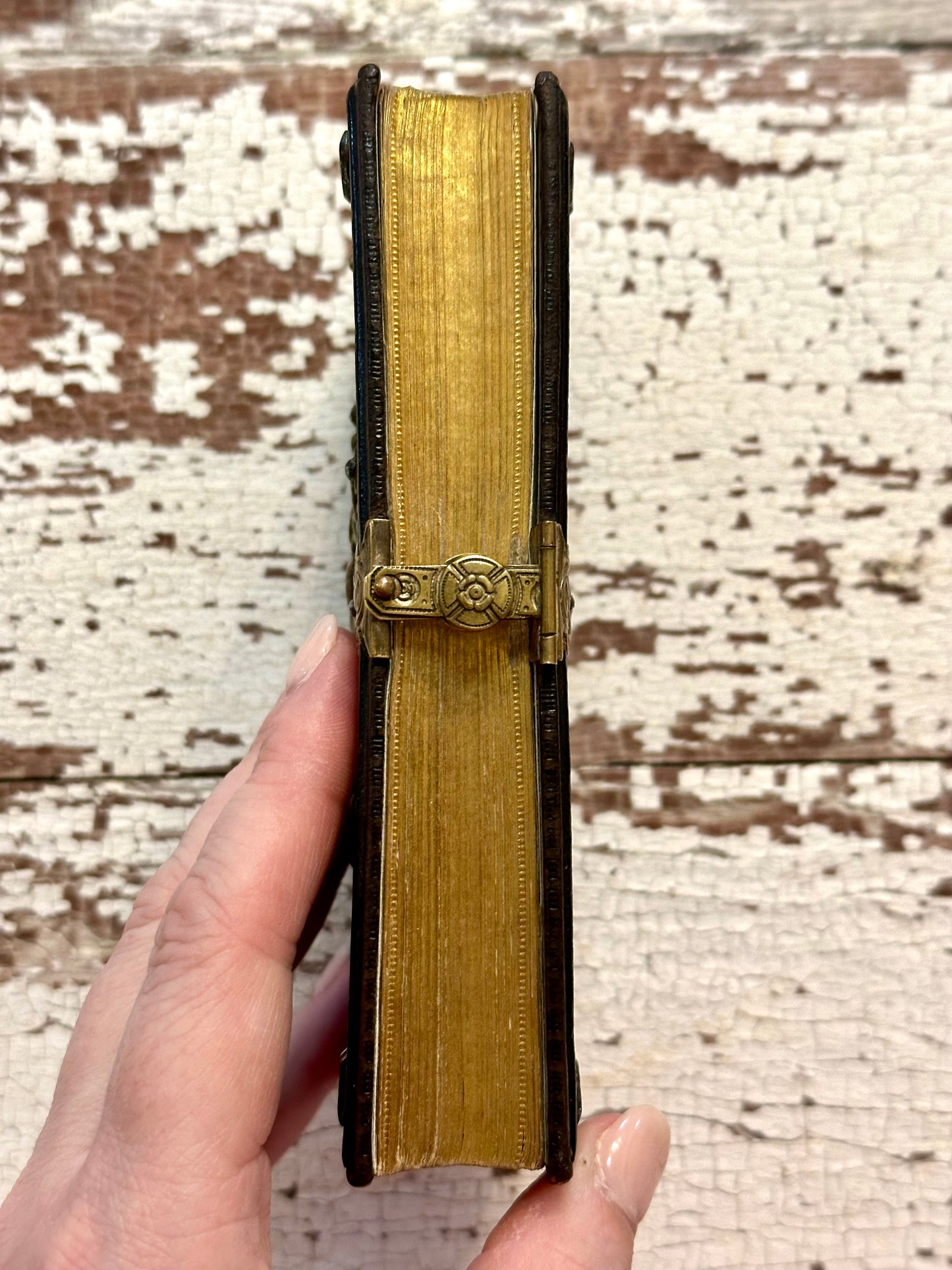 Rare• 1864 Holy Mary Devotional Book in German