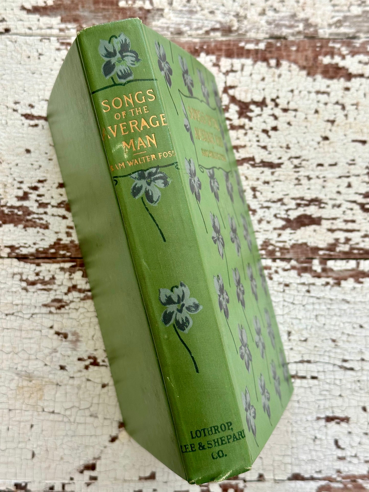 1907 Songs of the Average Man