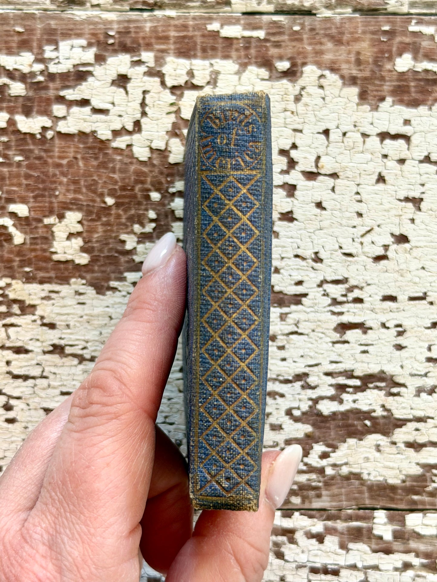 Miniature “The Birds of America” Book