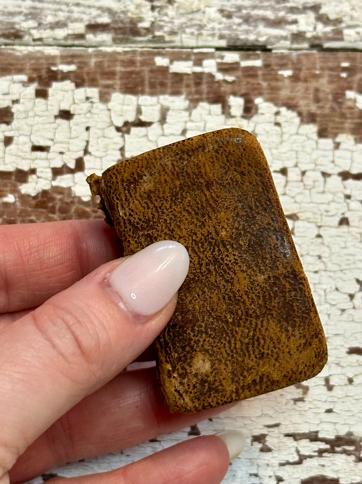Rare- 1819 Micro History of the Bible Book