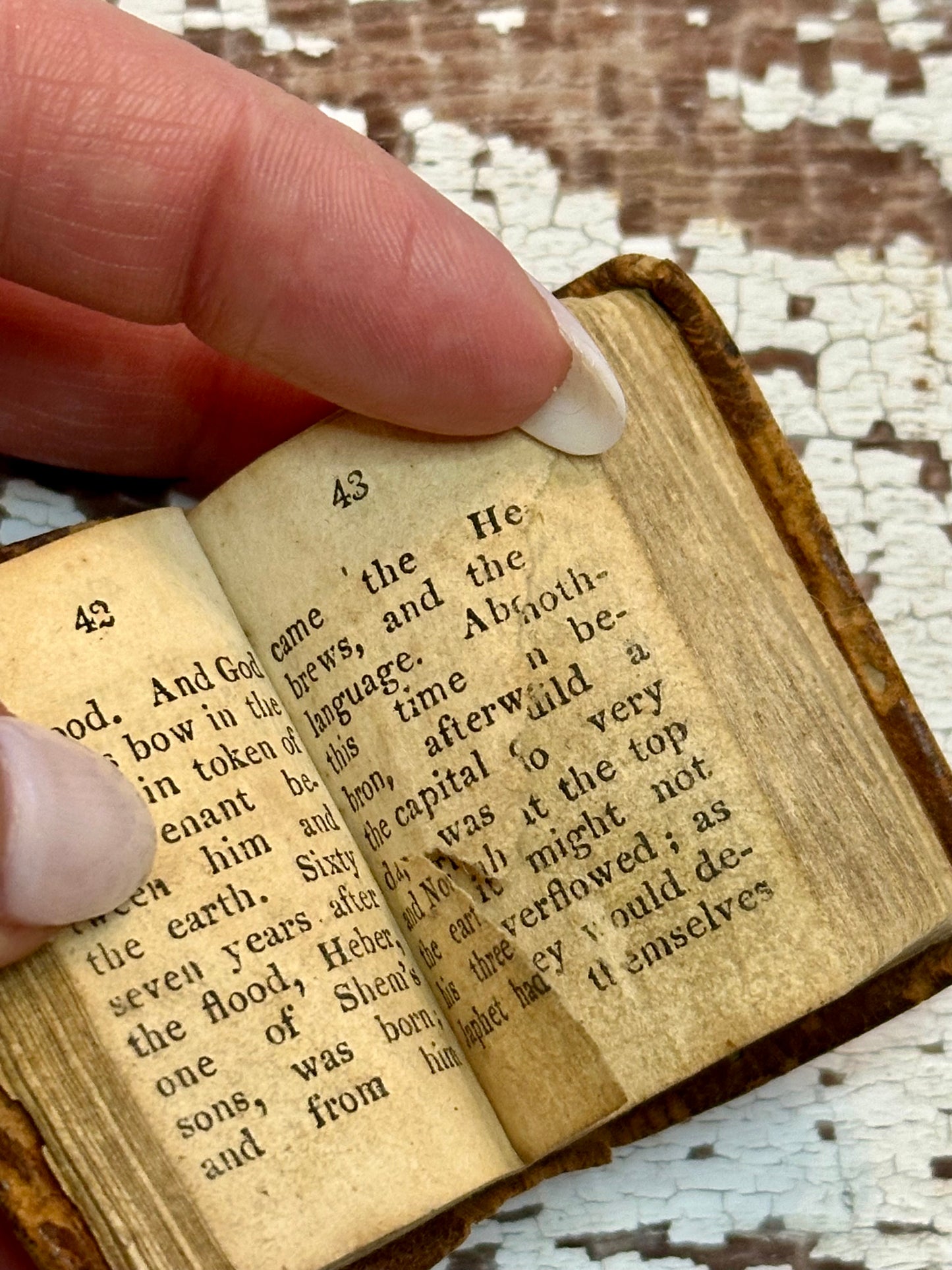 Rare- 1819 Micro History of the Bible Book