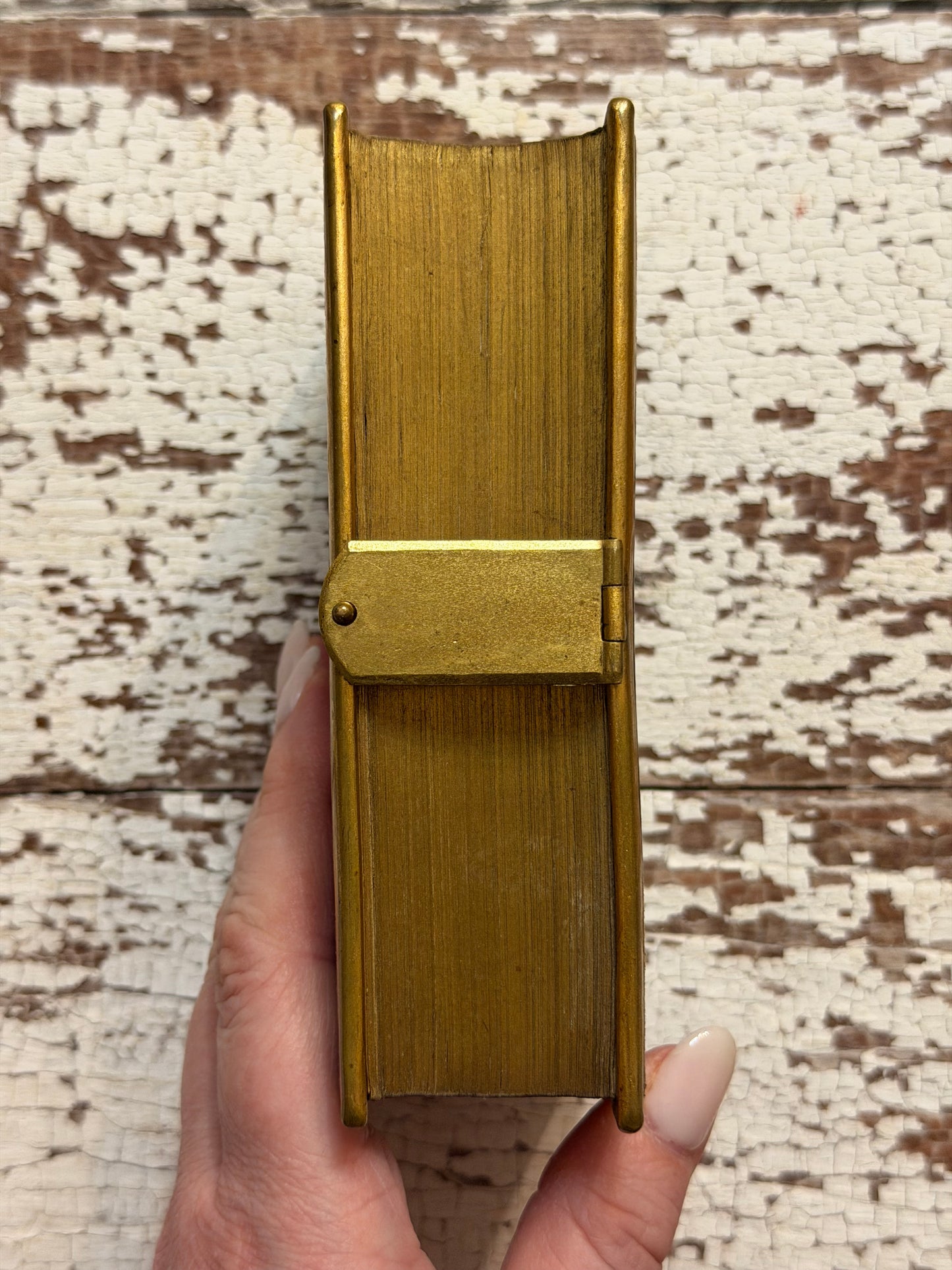 1872 Church Services Book- The Book of Common Prayer