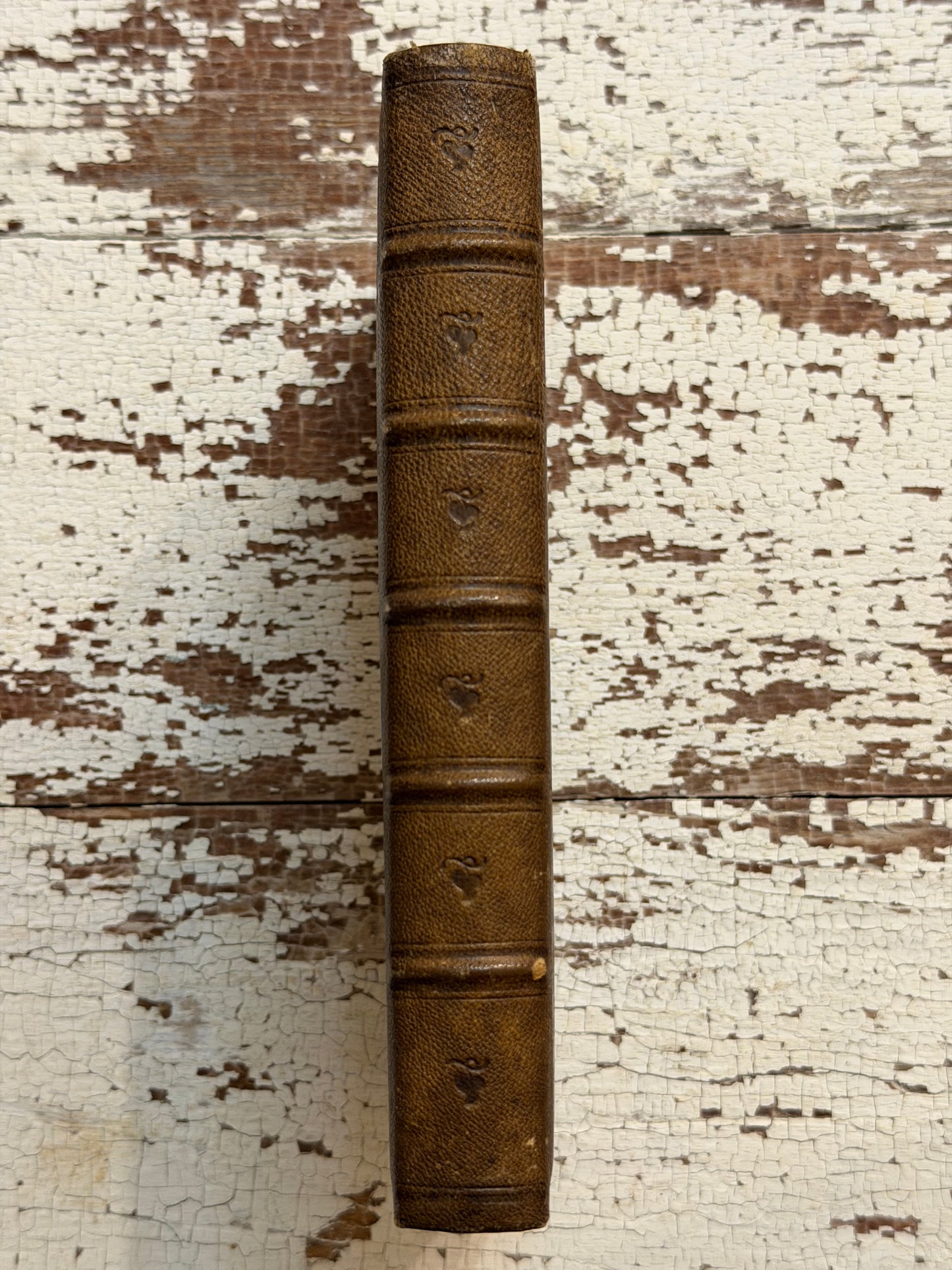 1851 The Excellent Woman- Gauffered Edge