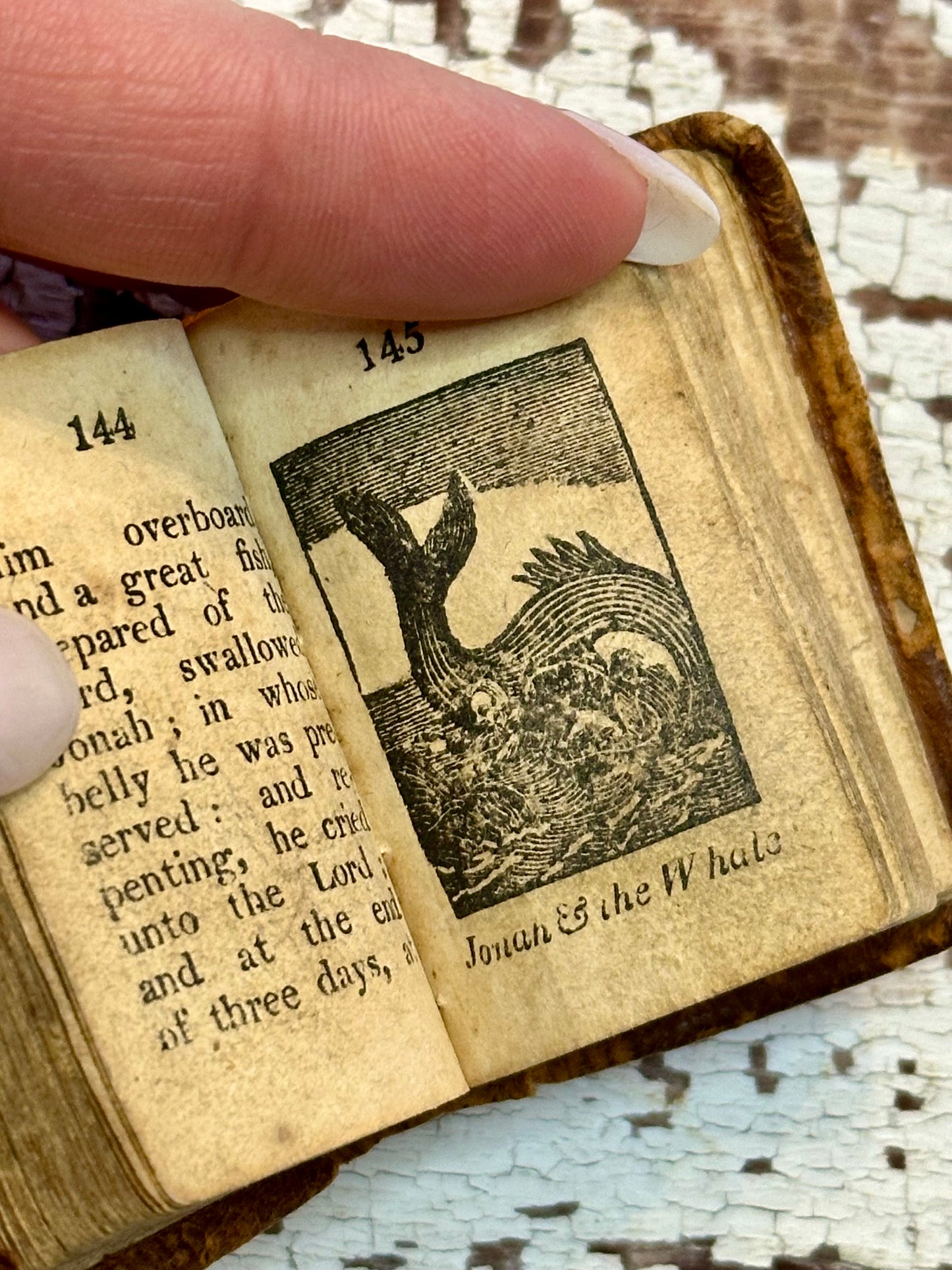 Rare- 1819 Micro History of the Bible Book
