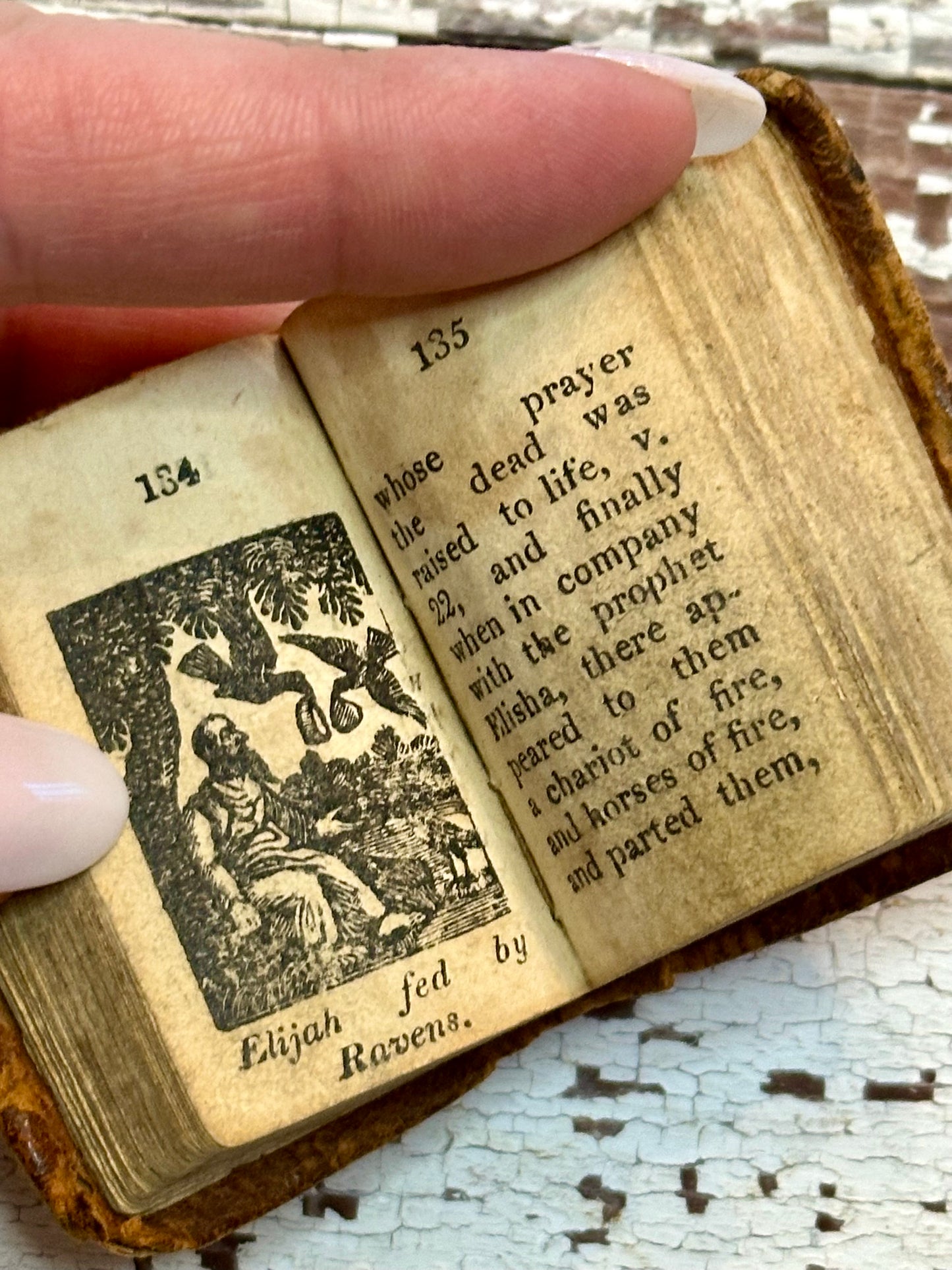 Rare- 1819 Micro History of the Bible Book