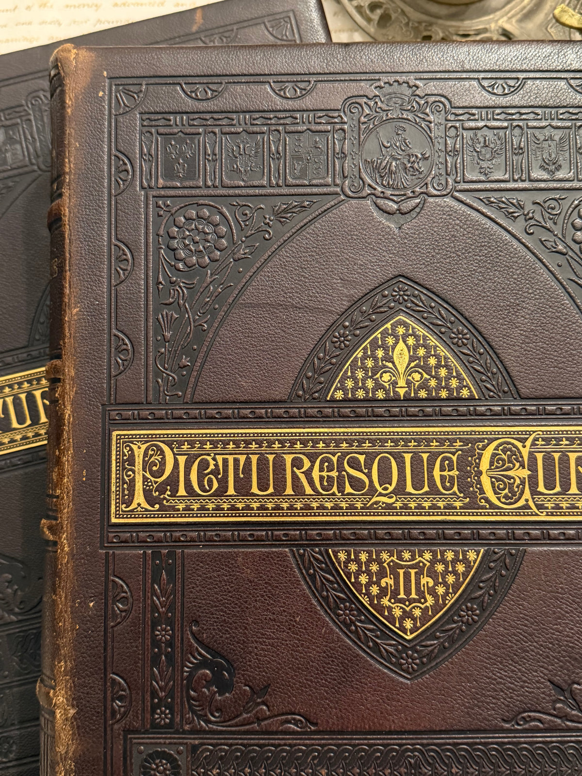 Picturesque Europe Book Set- Large Full Leathers