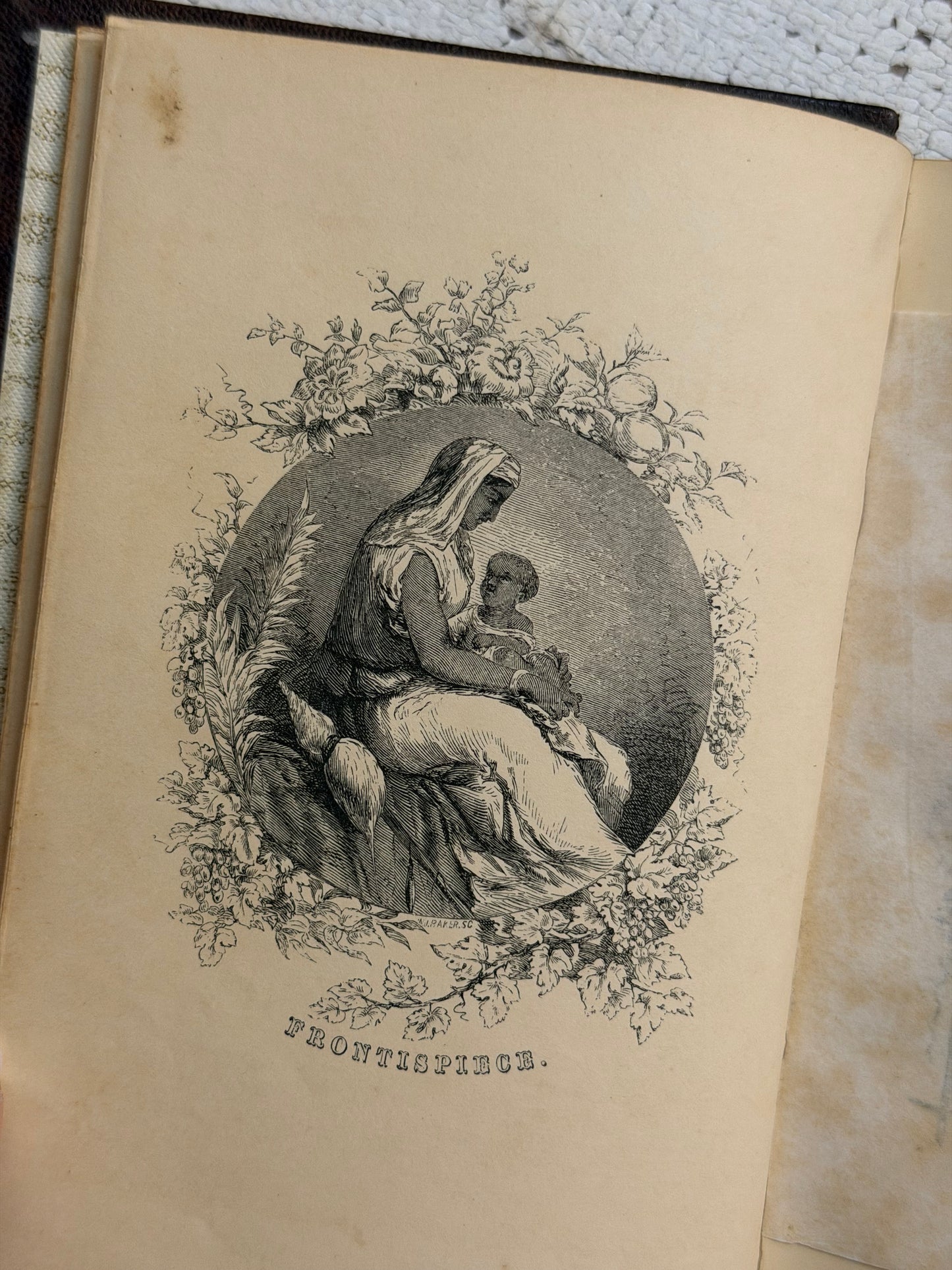 1851 The Excellent Woman- Gauffered Edge