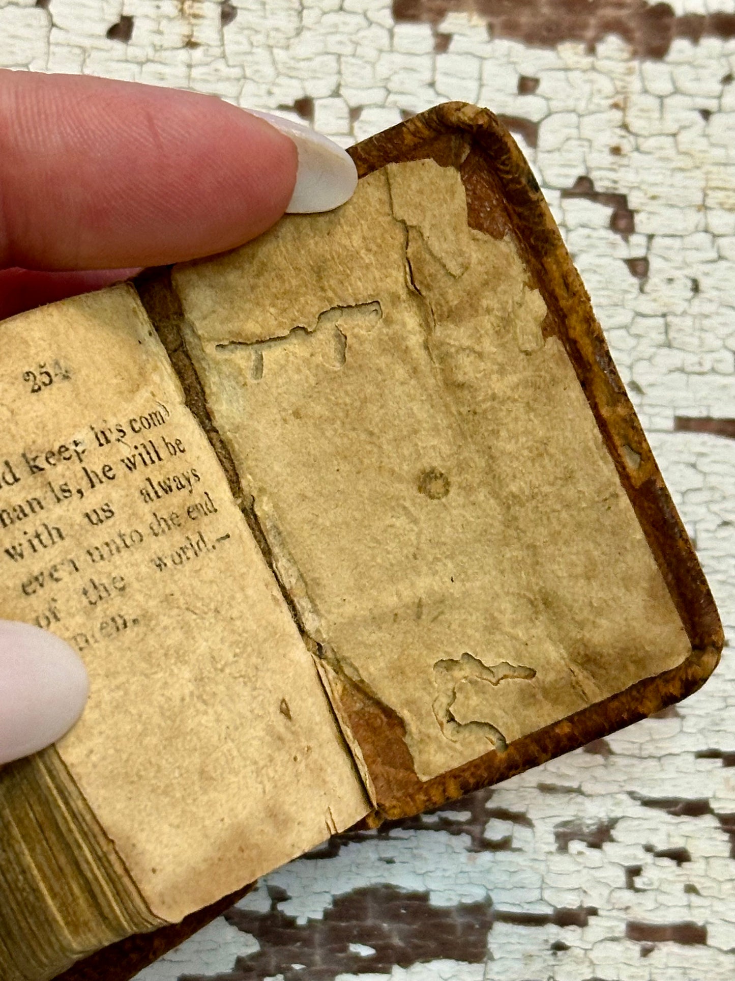 Rare- 1819 Micro History of the Bible Book