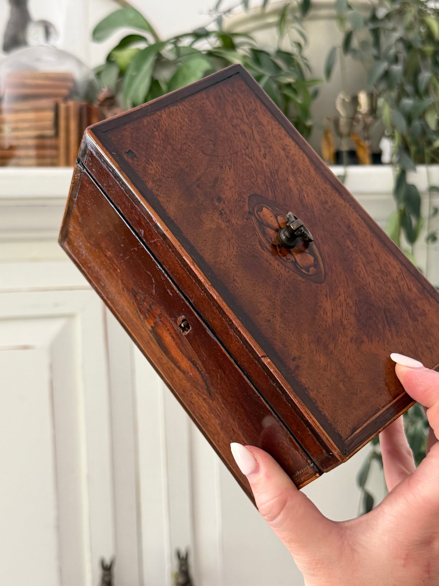 Antique English Mahogany Wood Box with Conch Shell Inlay
