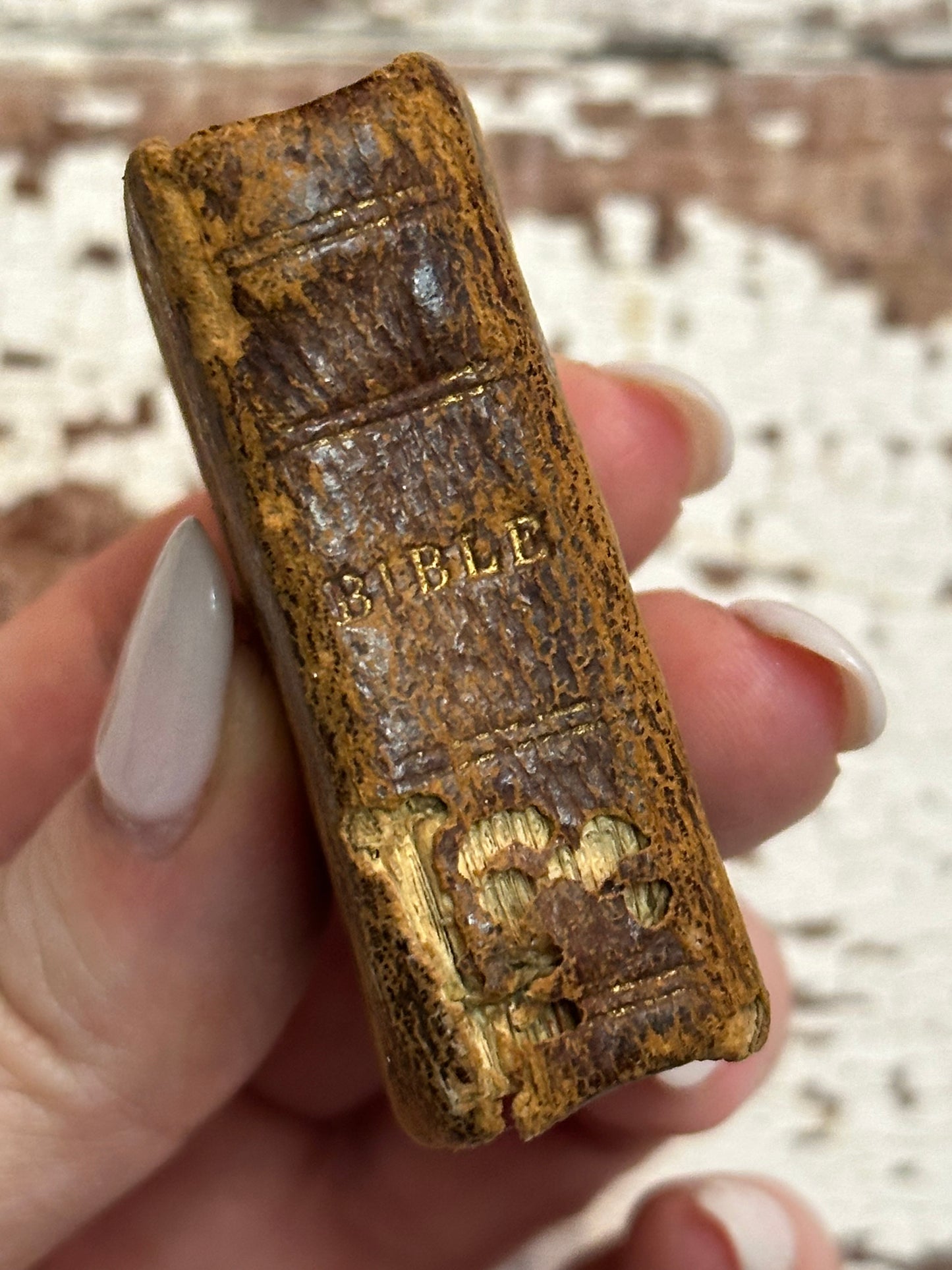 Rare- 1819 Micro History of the Bible Book
