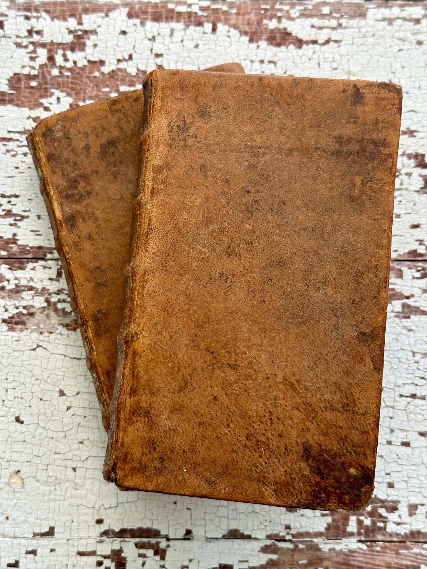 1722 French Leather Book Set