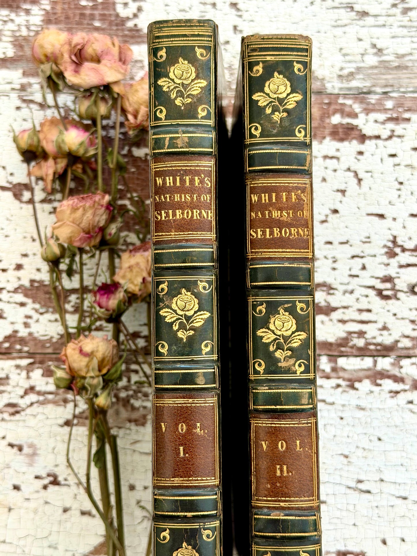 1825 The Natural History of Selborne By Rev. Gilbert White