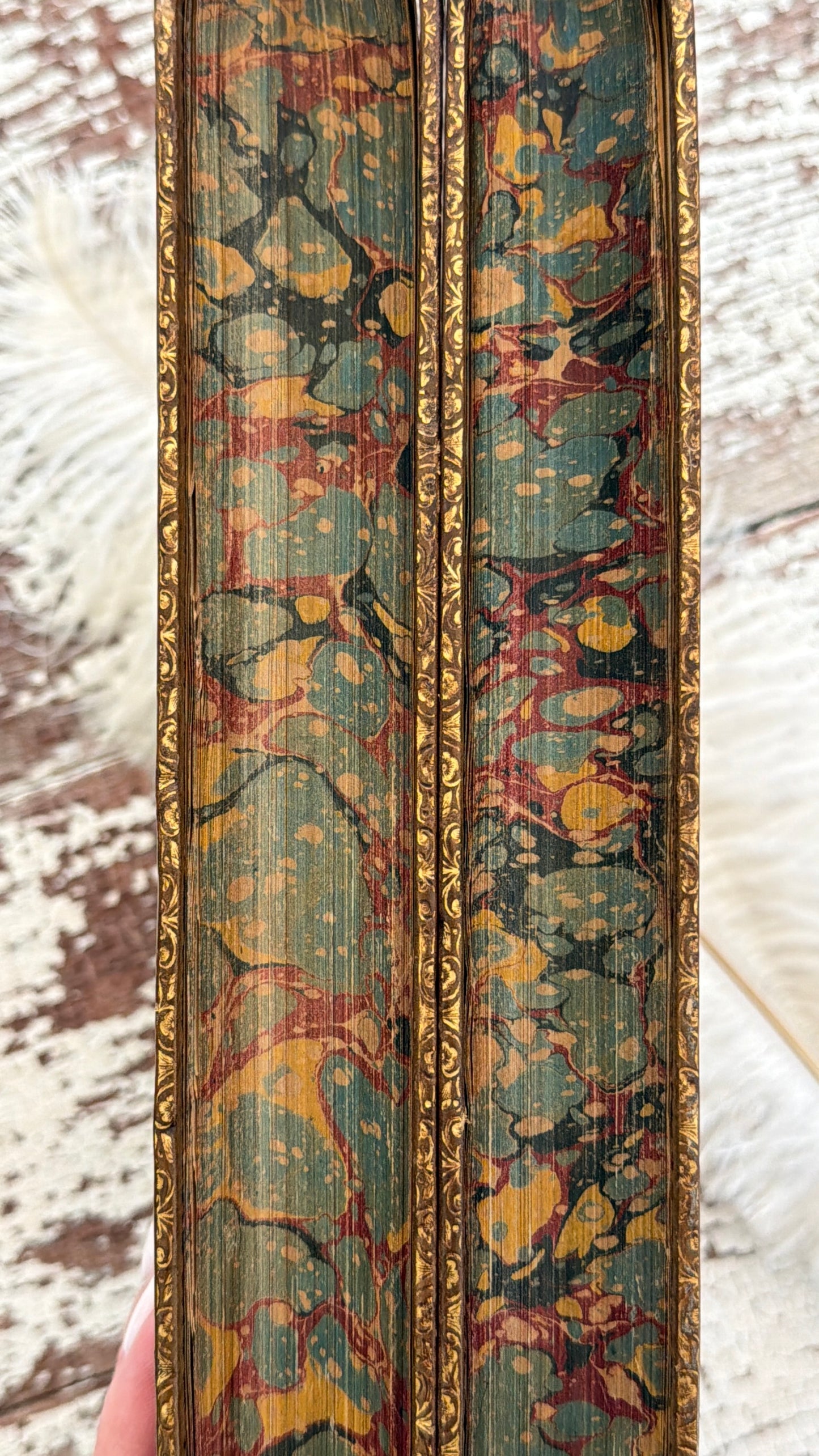 1801 Hudibras by Samuel Butler- Complete in Two Volumes