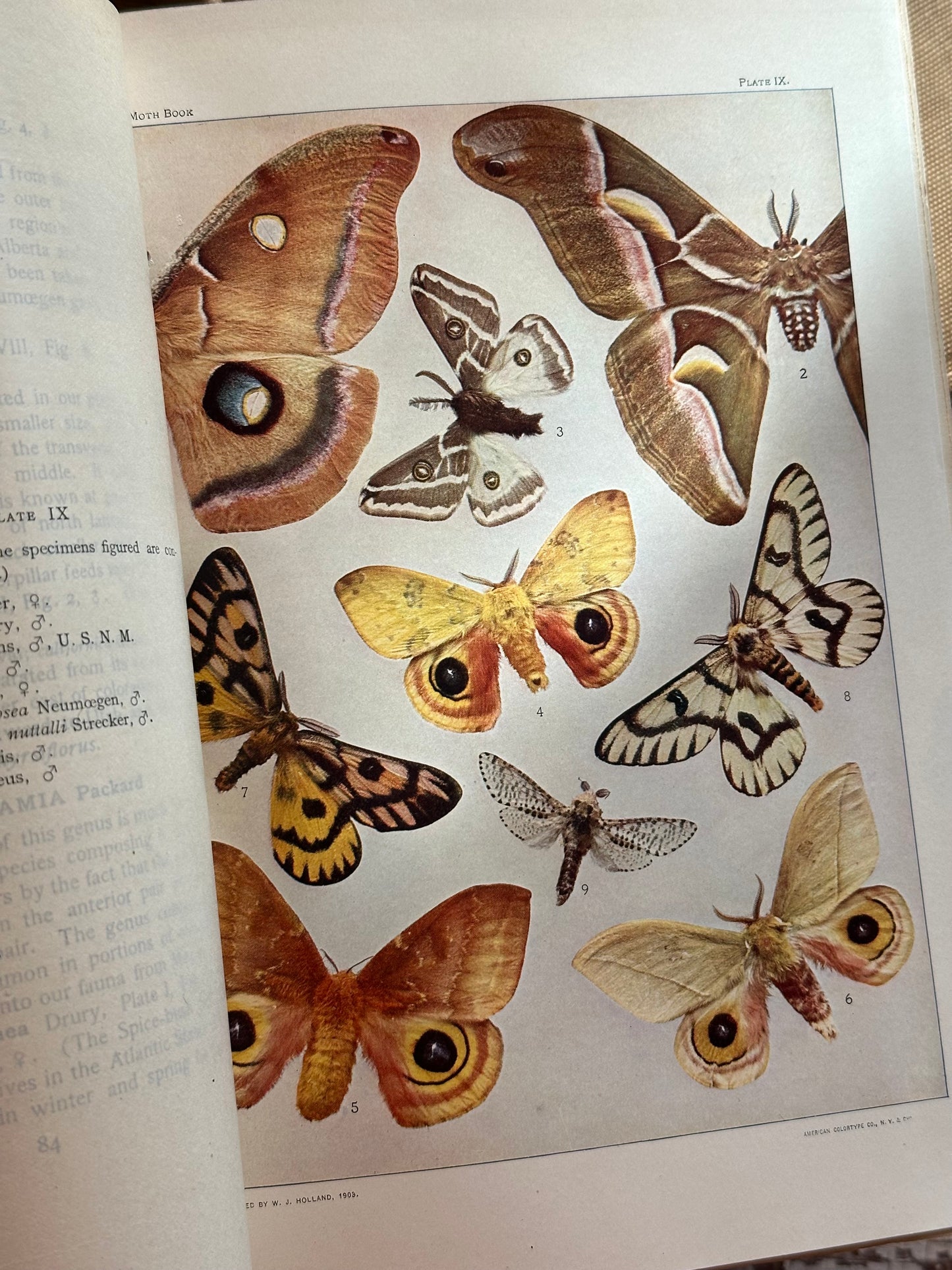 Rare- The Nature Library Book Set with Colored Plates