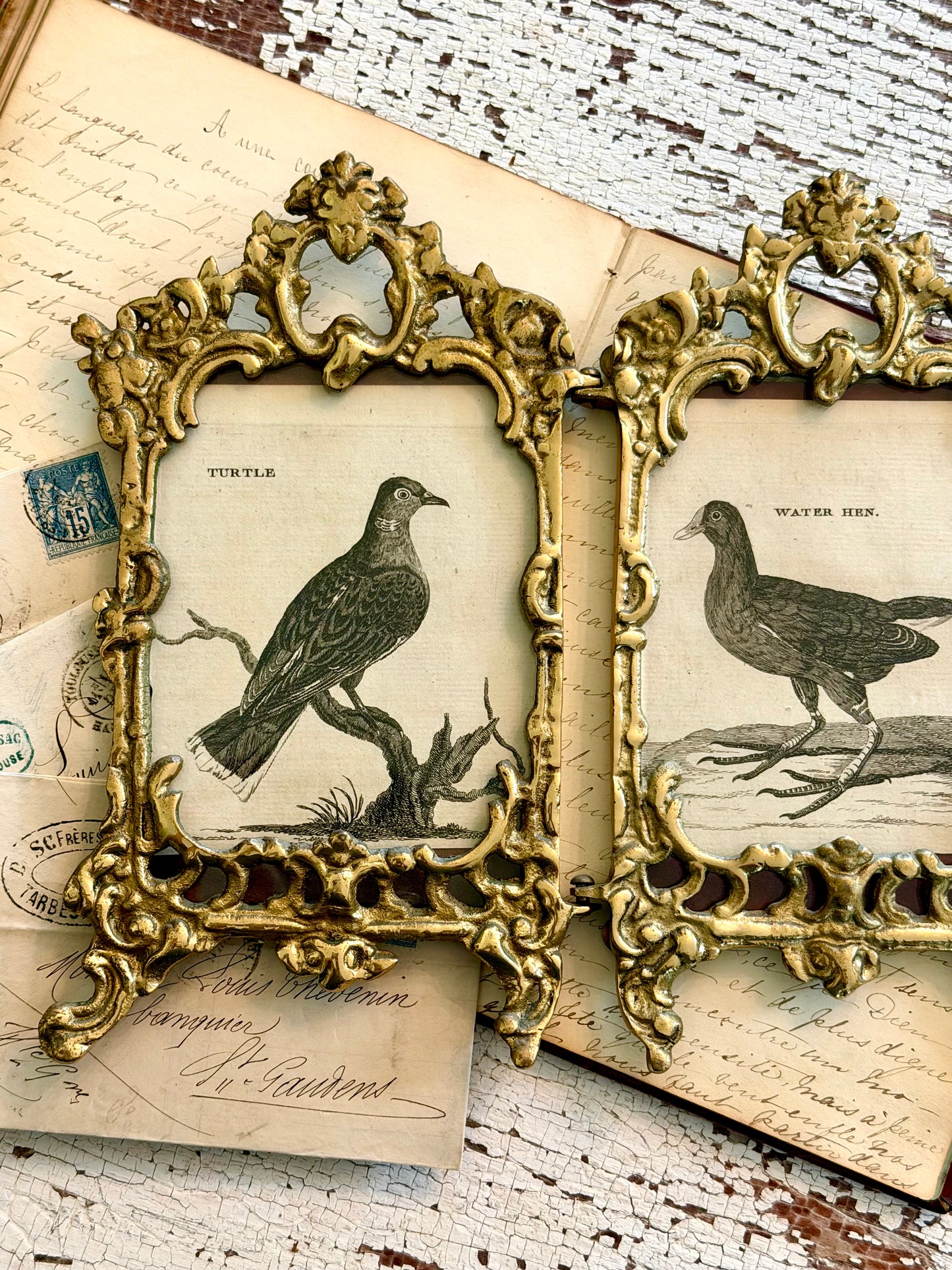 Double Brass Frame with Antique Bird Engravings