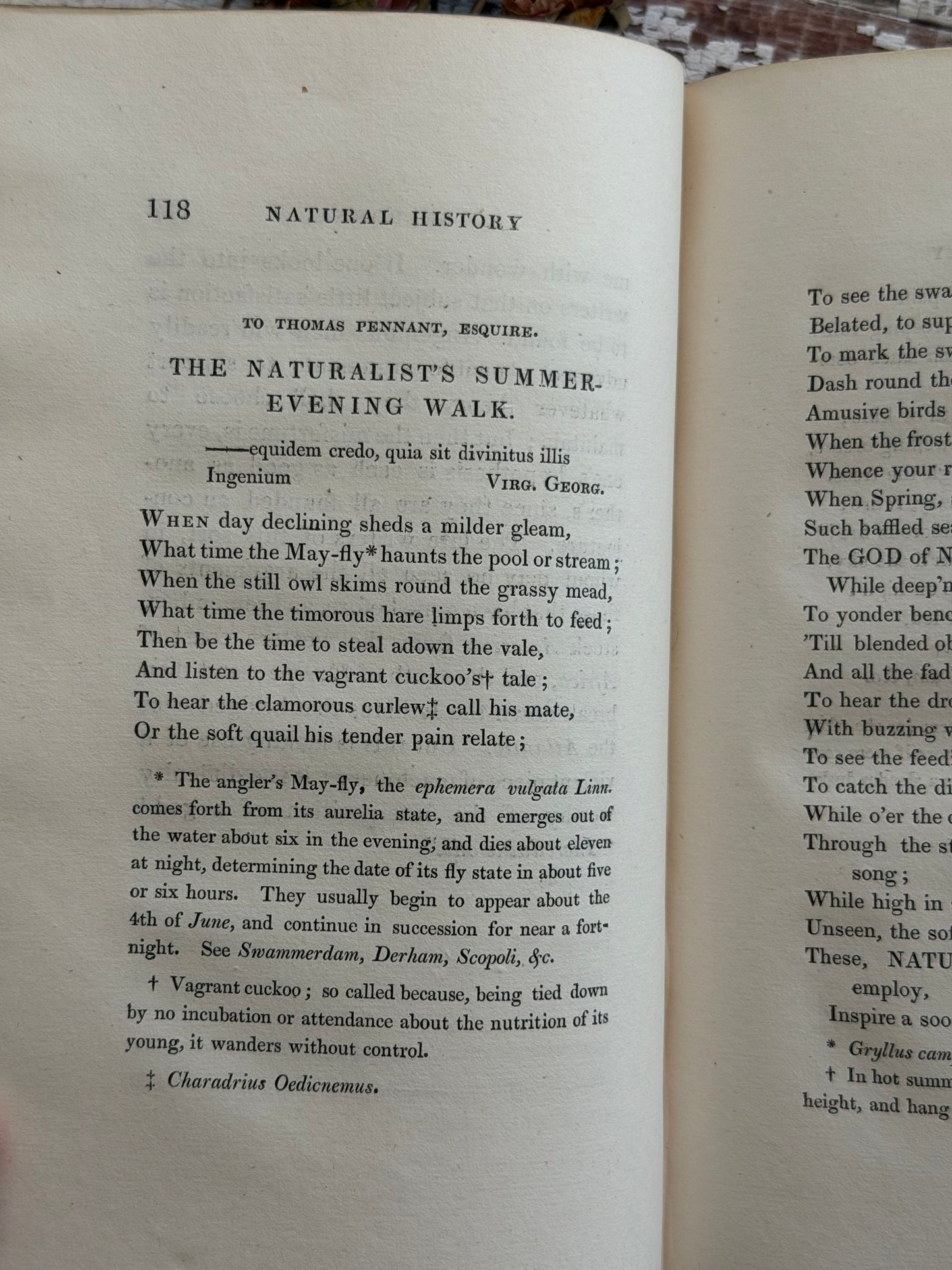1825 The Natural History of Selborne By Rev. Gilbert White