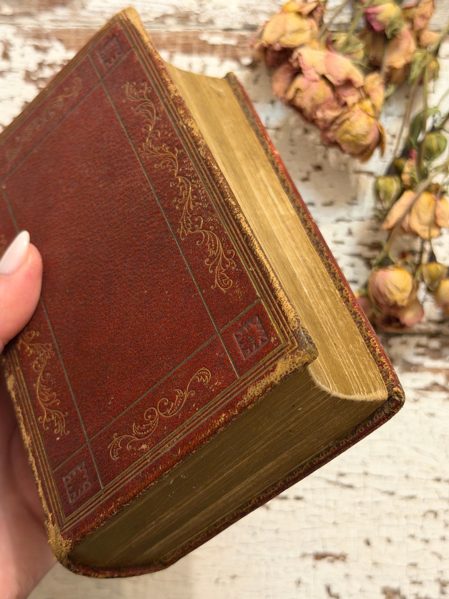 1856 The Holy Bible, Old & New Testament