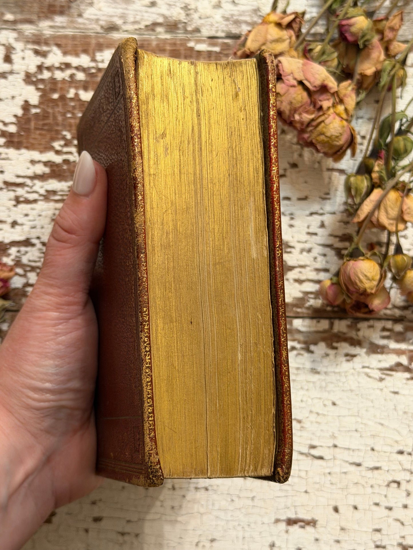 1856 The Holy Bible, Old & New Testament
