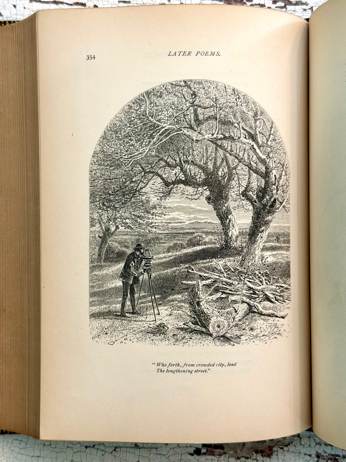 1878 The Poetical Works of William Cullen Bryant