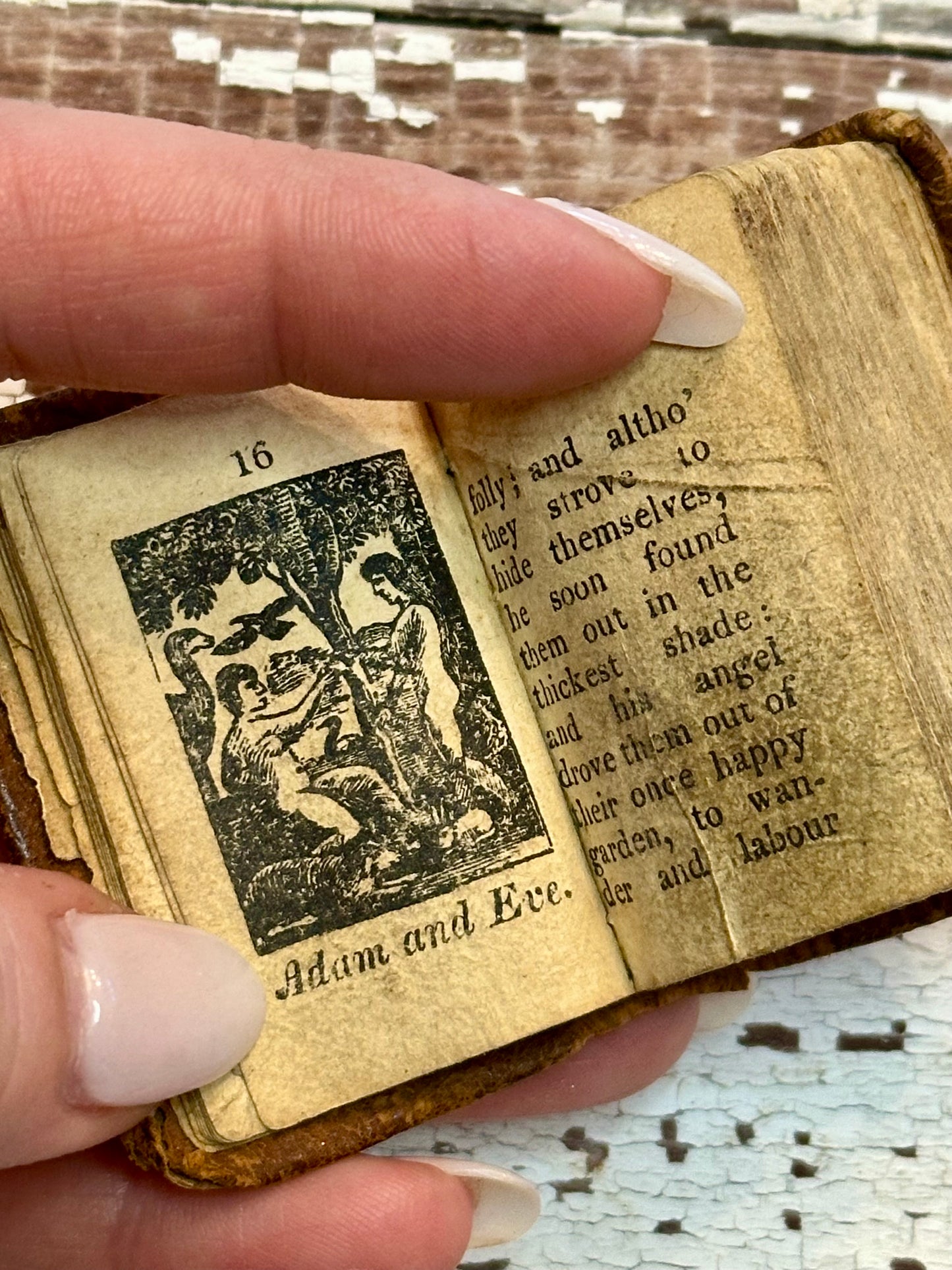 Rare- 1819 Micro History of the Bible Book