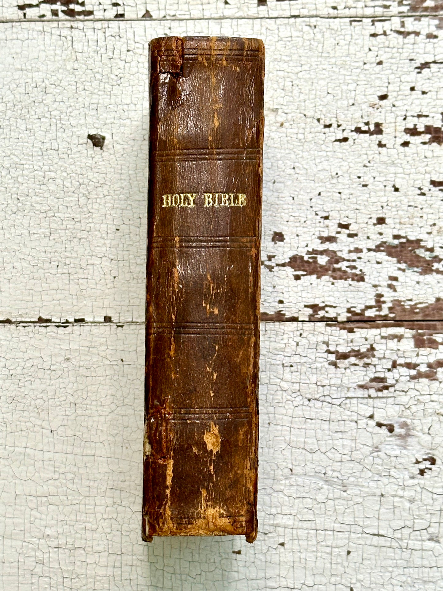 Rare 1861 Leather First Edition Holy Bible