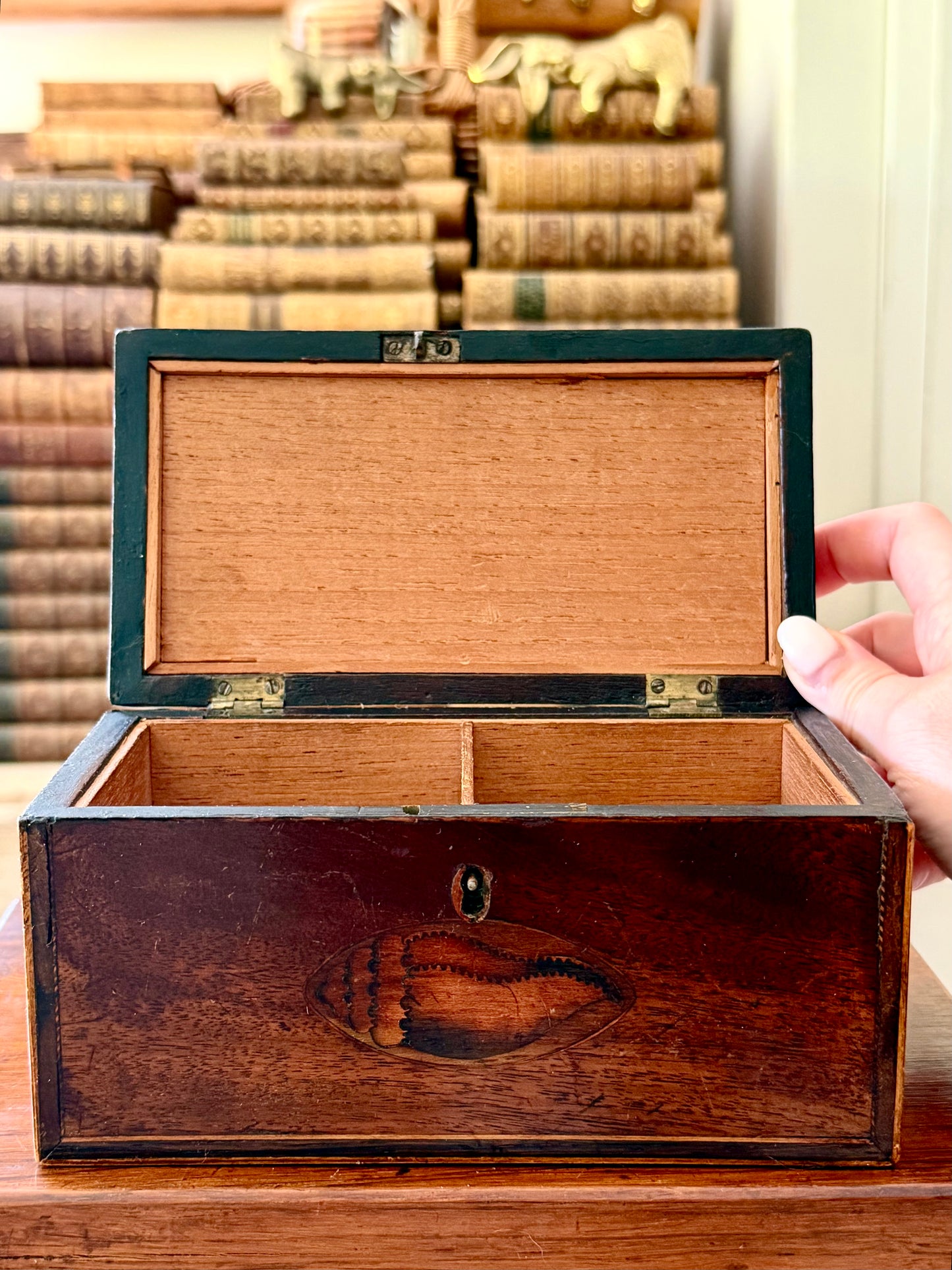Antique English Mahogany Wood Box with Conch Shell Inlay