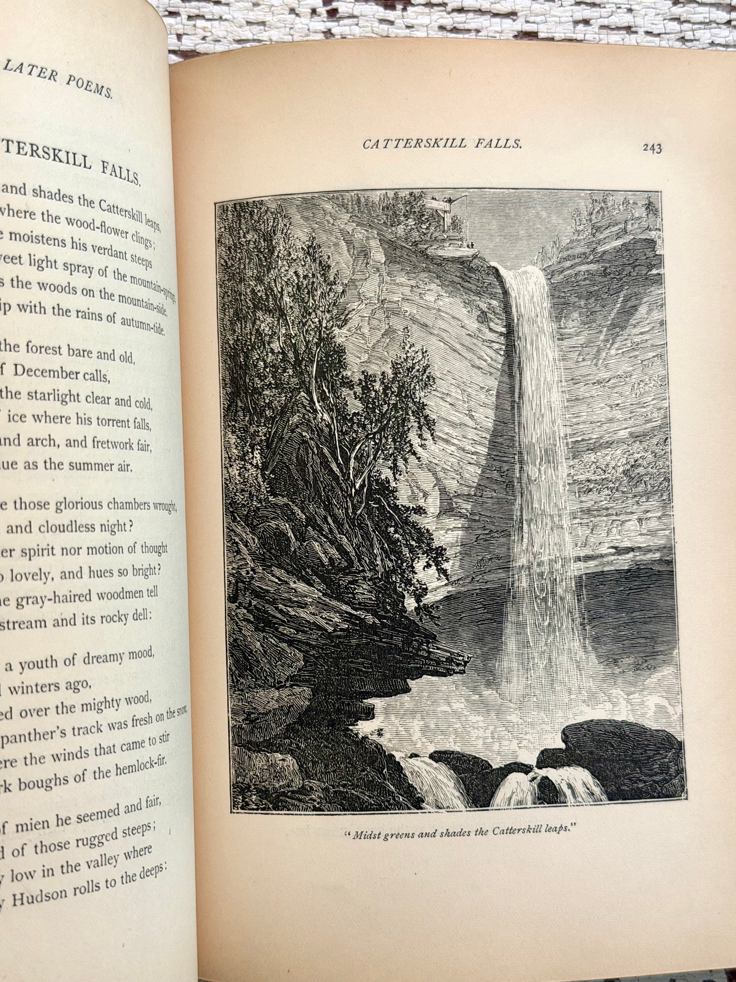 1878 The Poetical Works of William Cullen Bryant