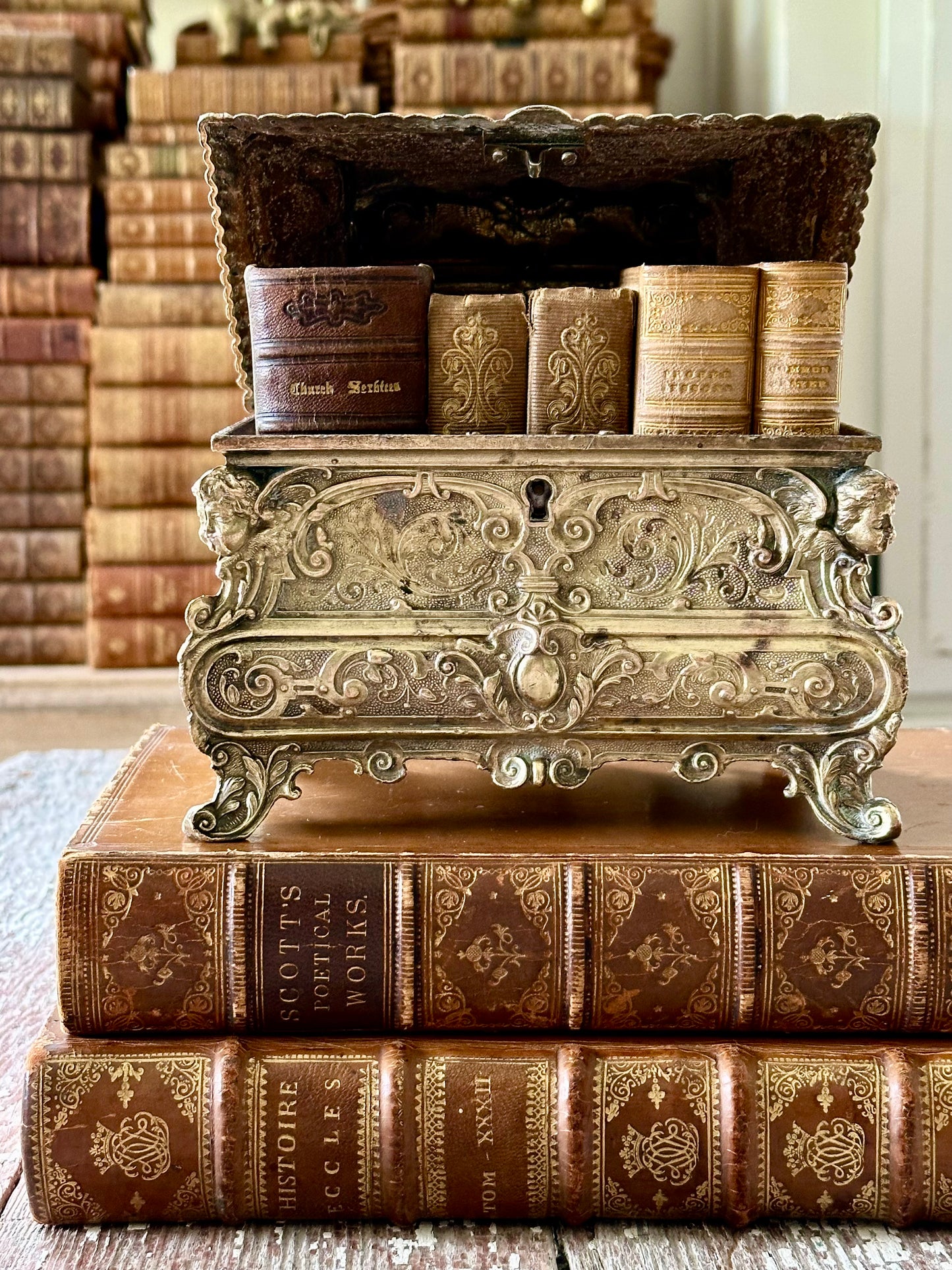 Antique 19th Century Louis XV Style Casket or Jewelry Box