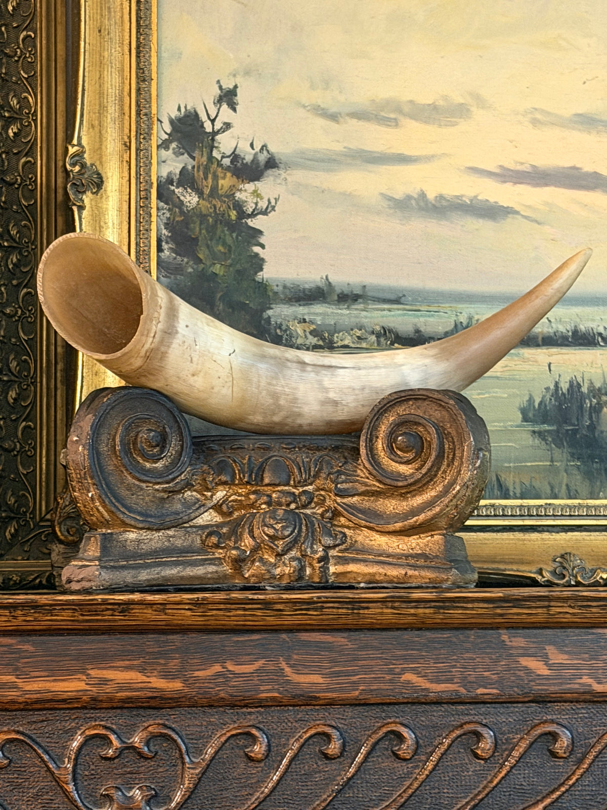Real Ox Horn
