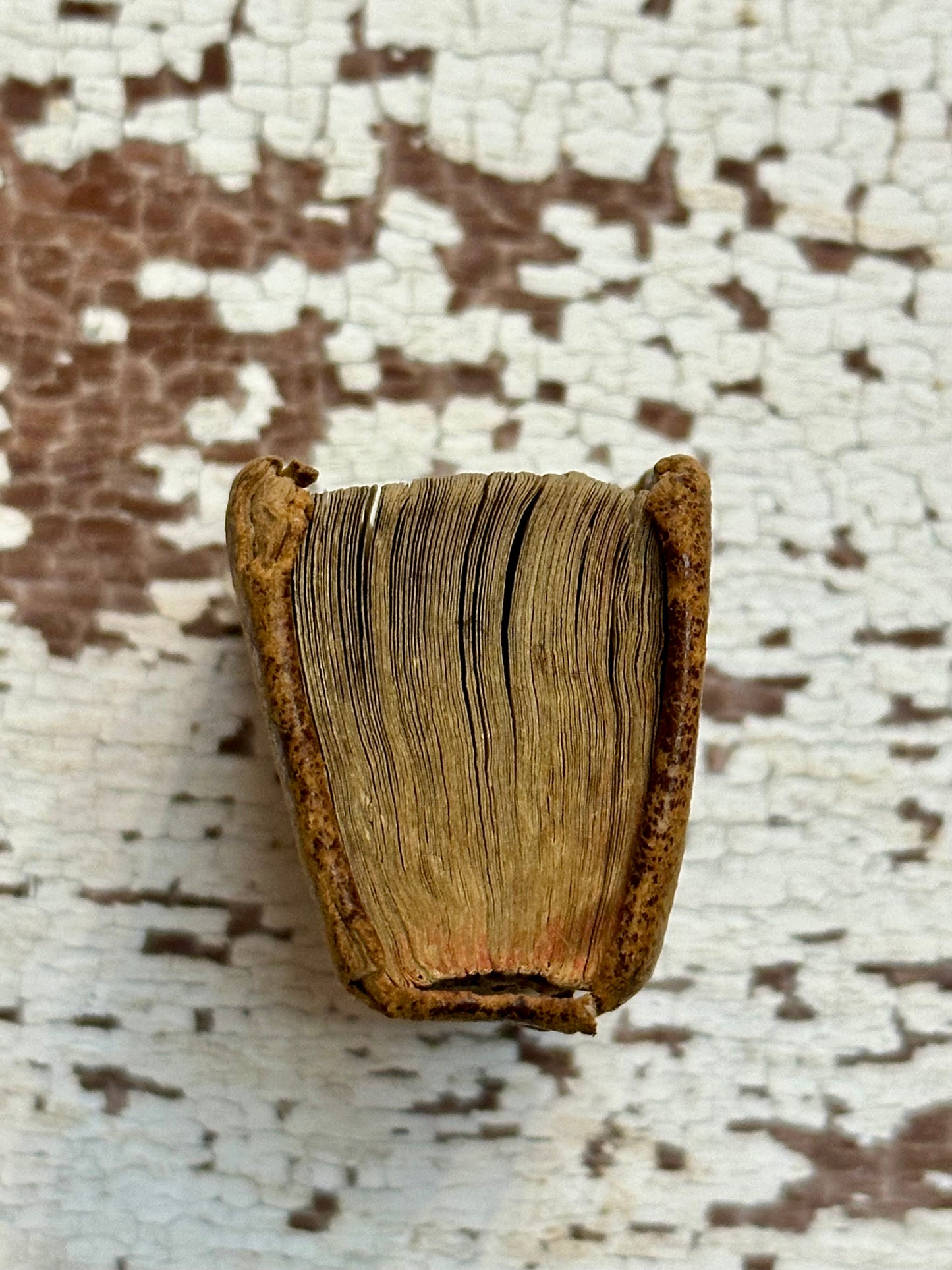 Rare- 1819 Micro History of the Bible Book