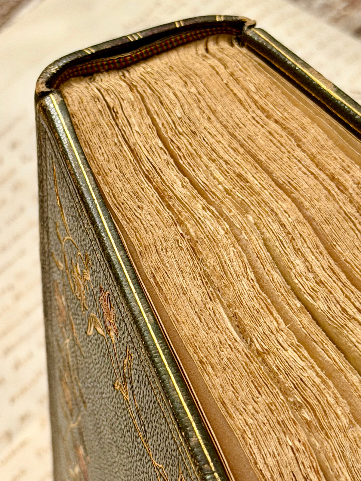1901 The Works of Theophile Gautier, Travels in Spain- Very Rare Fine Binding