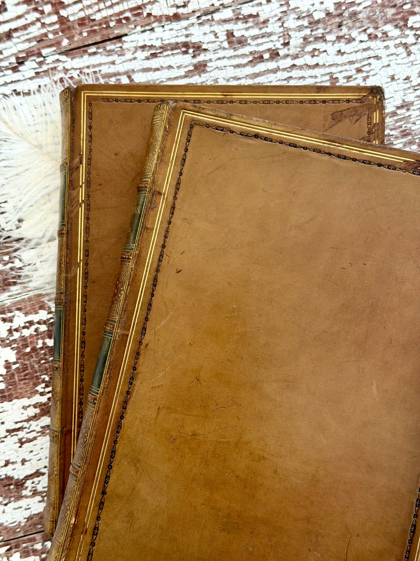 1801 Hudibras by Samuel Butler- Complete in Two Volumes