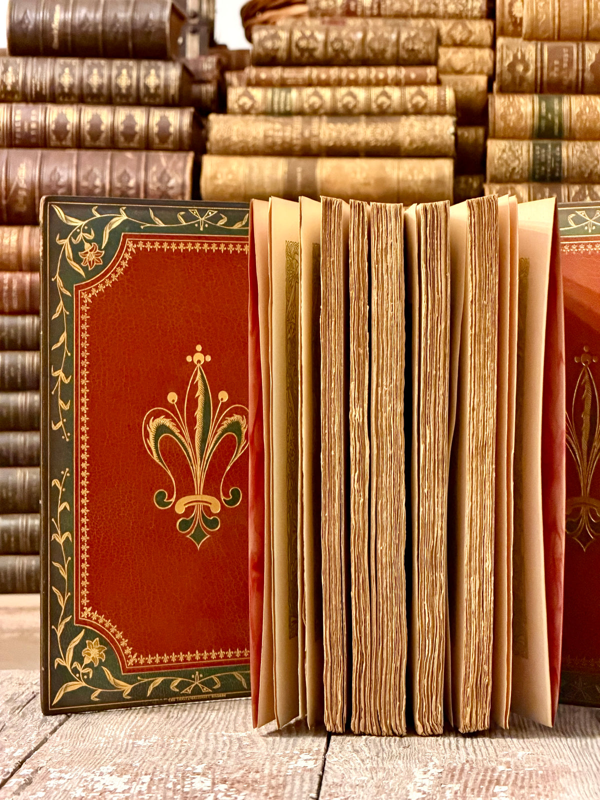 1901 The Works of Theophile Gautier, Travels in Spain- Very Rare Fine Binding