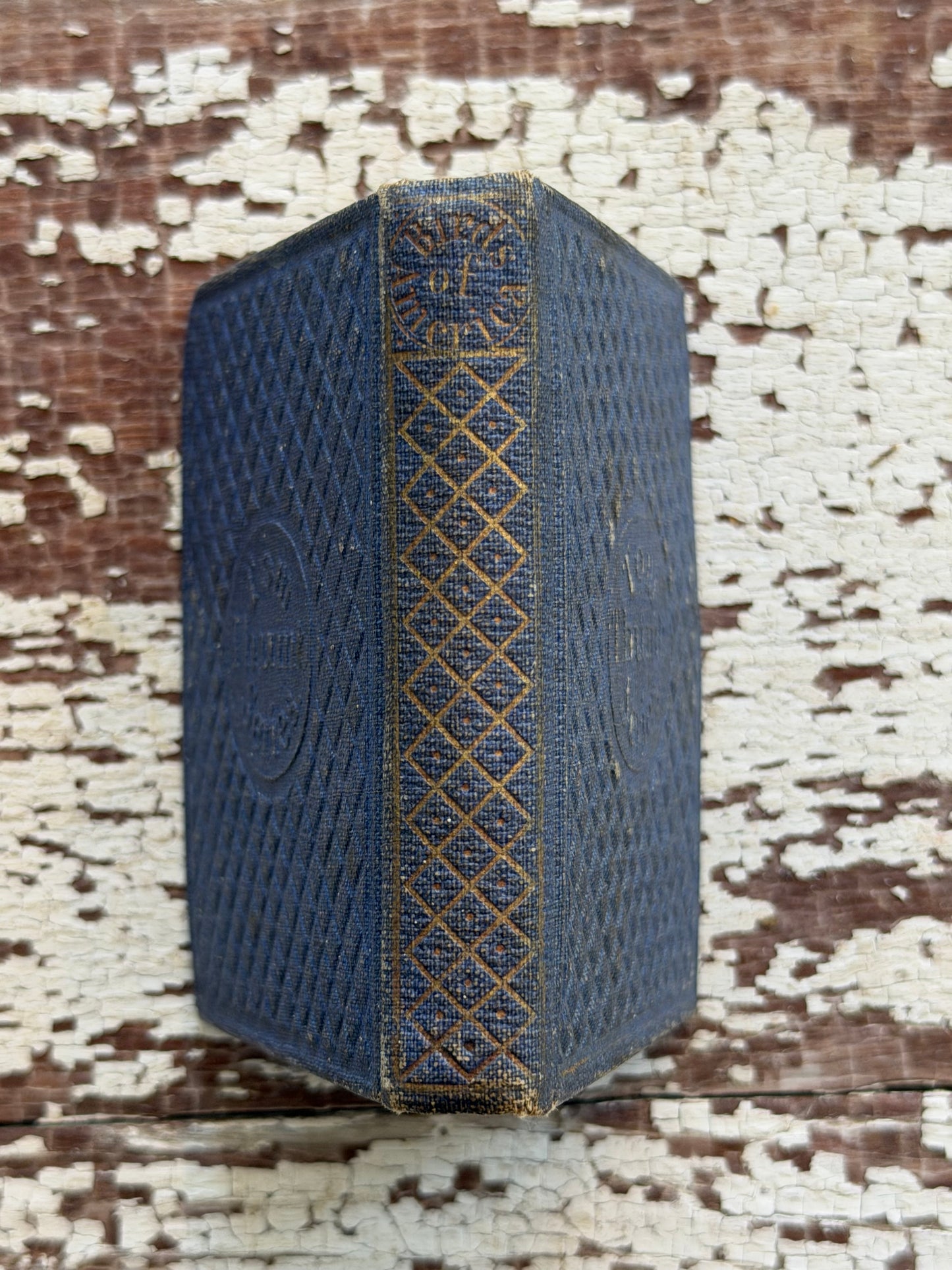 Miniature “The Birds of America” Book