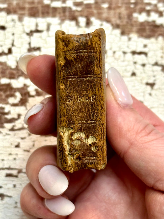 Rare- 1819 Micro History of the Bible Book