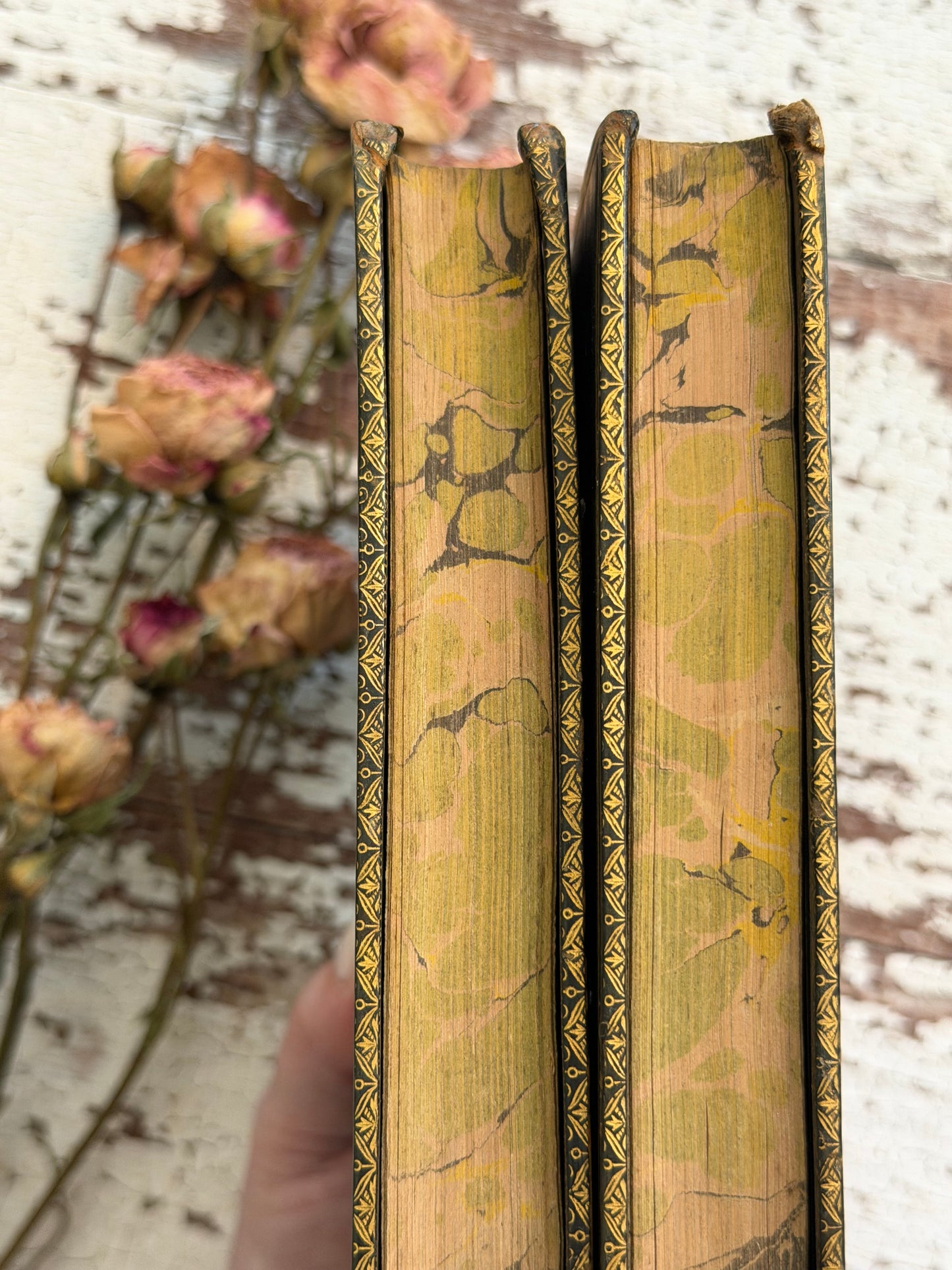 1825 The Natural History of Selborne By Rev. Gilbert White