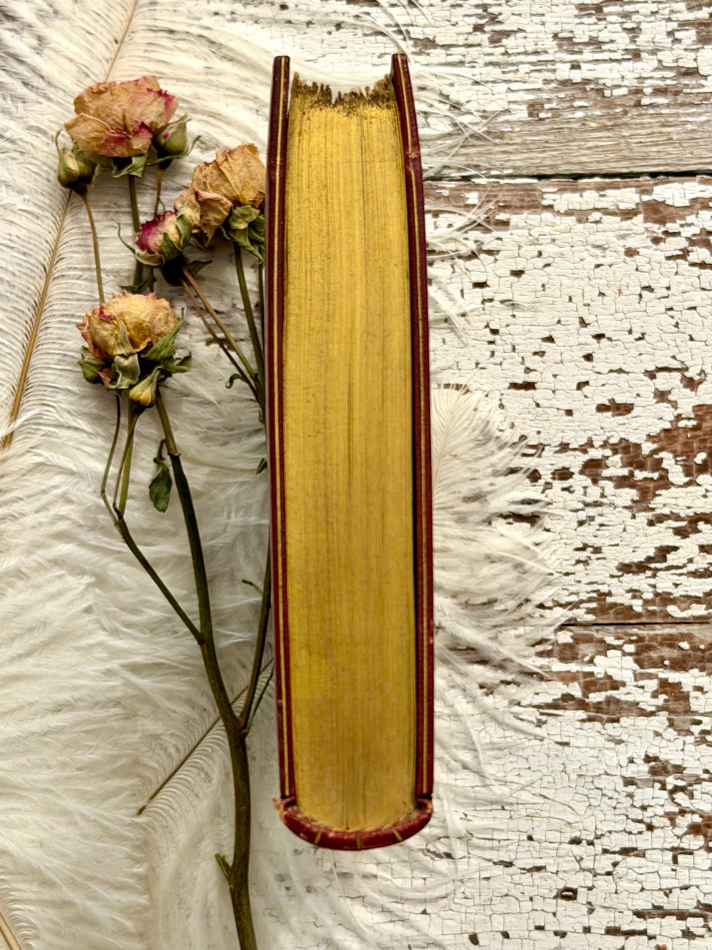 1910 The Imitation of Christ- Rare Sangorski & Sutcliffe Fine Binding
