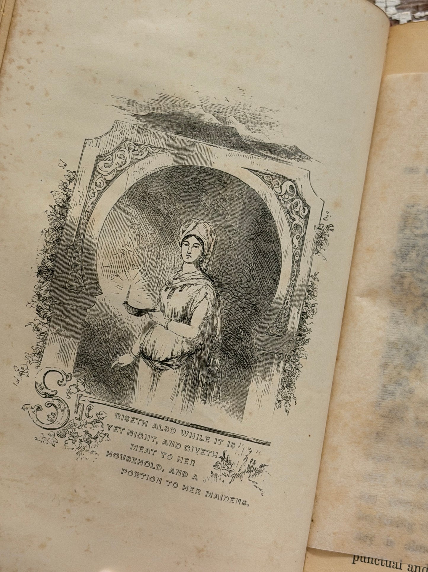 1851 The Excellent Woman- Gauffered Edge