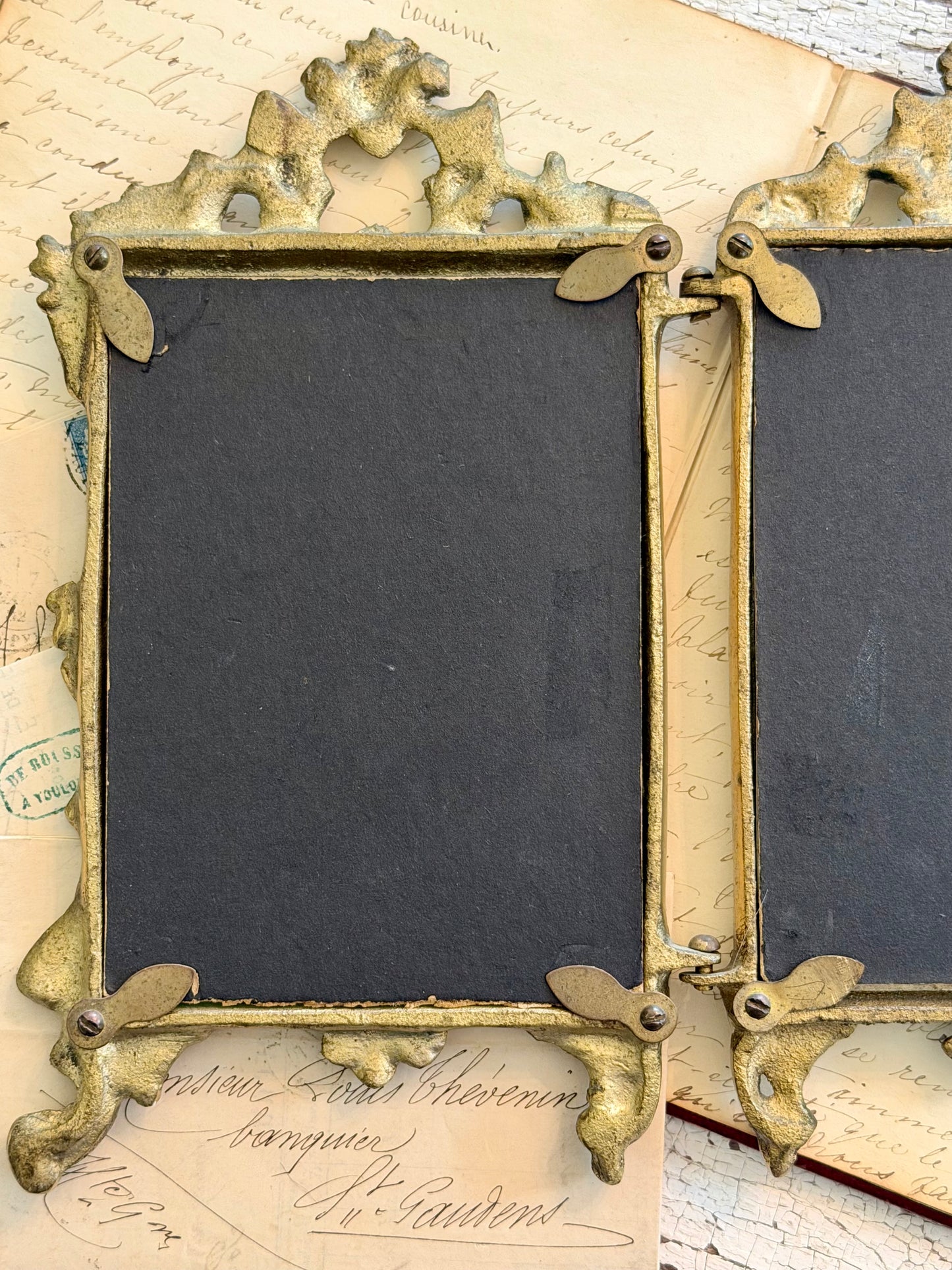 Double Brass Frame with Antique Bird Engravings